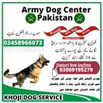 Army Dog Center Karachi (Province of Sindh, Karachi South District, Kala Pul Road), private experts