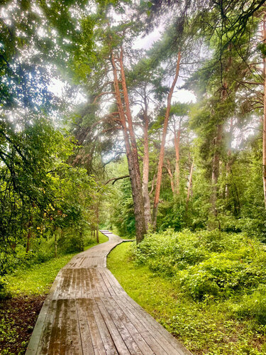 Onlayn porno tomosha qilish: eshakda xolani sikish