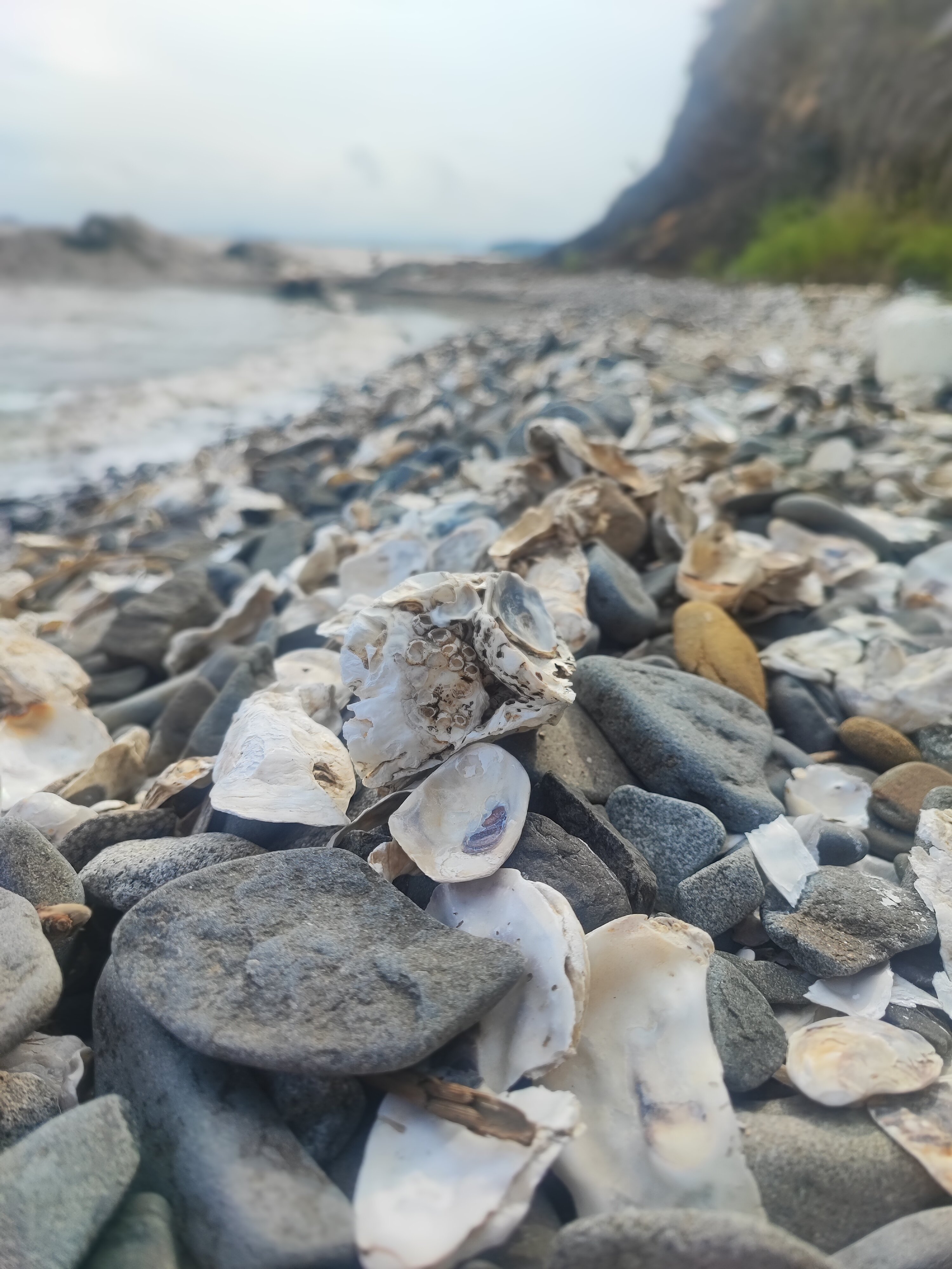 Фото Happy House