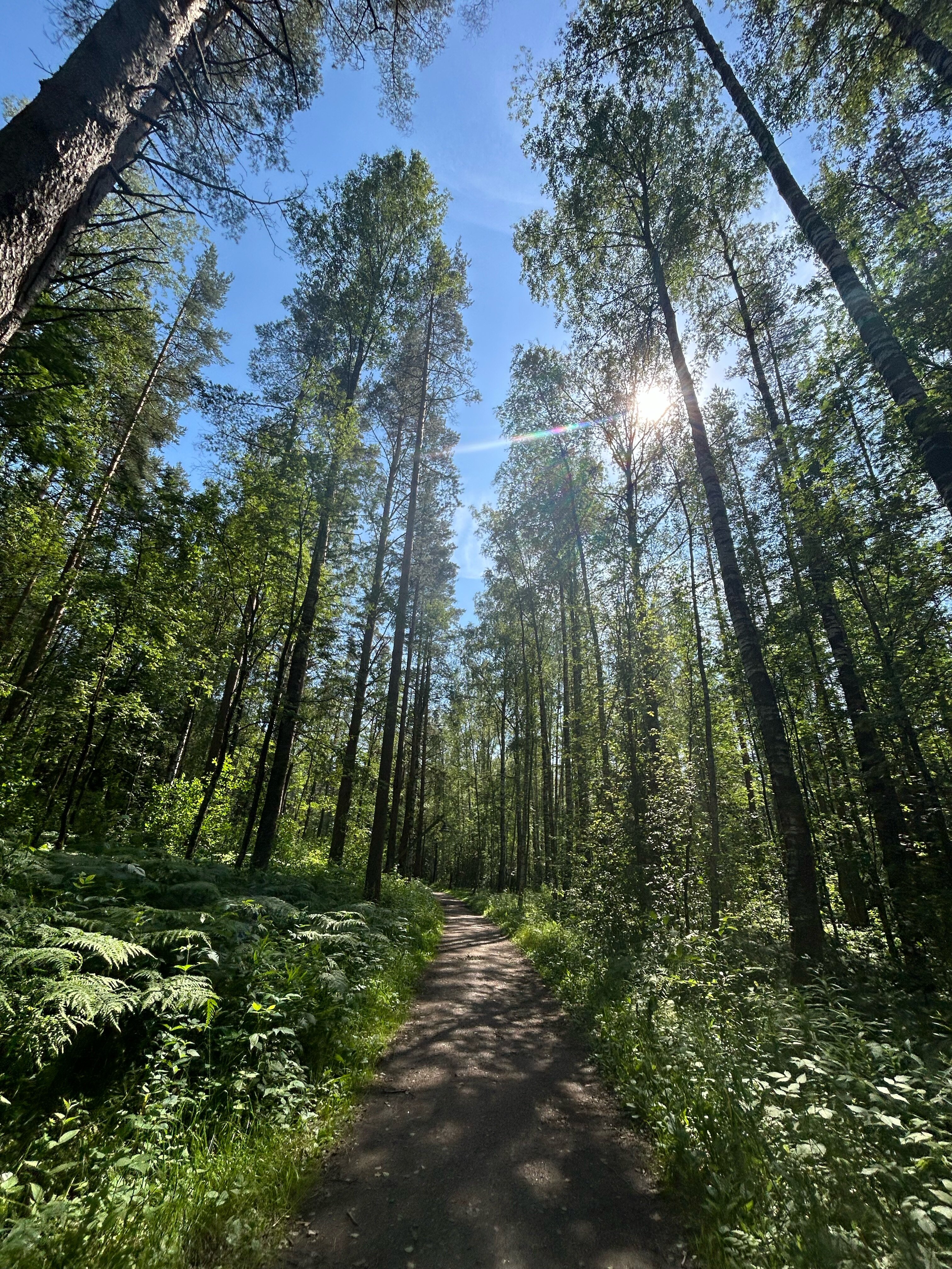 Фото Аскелма