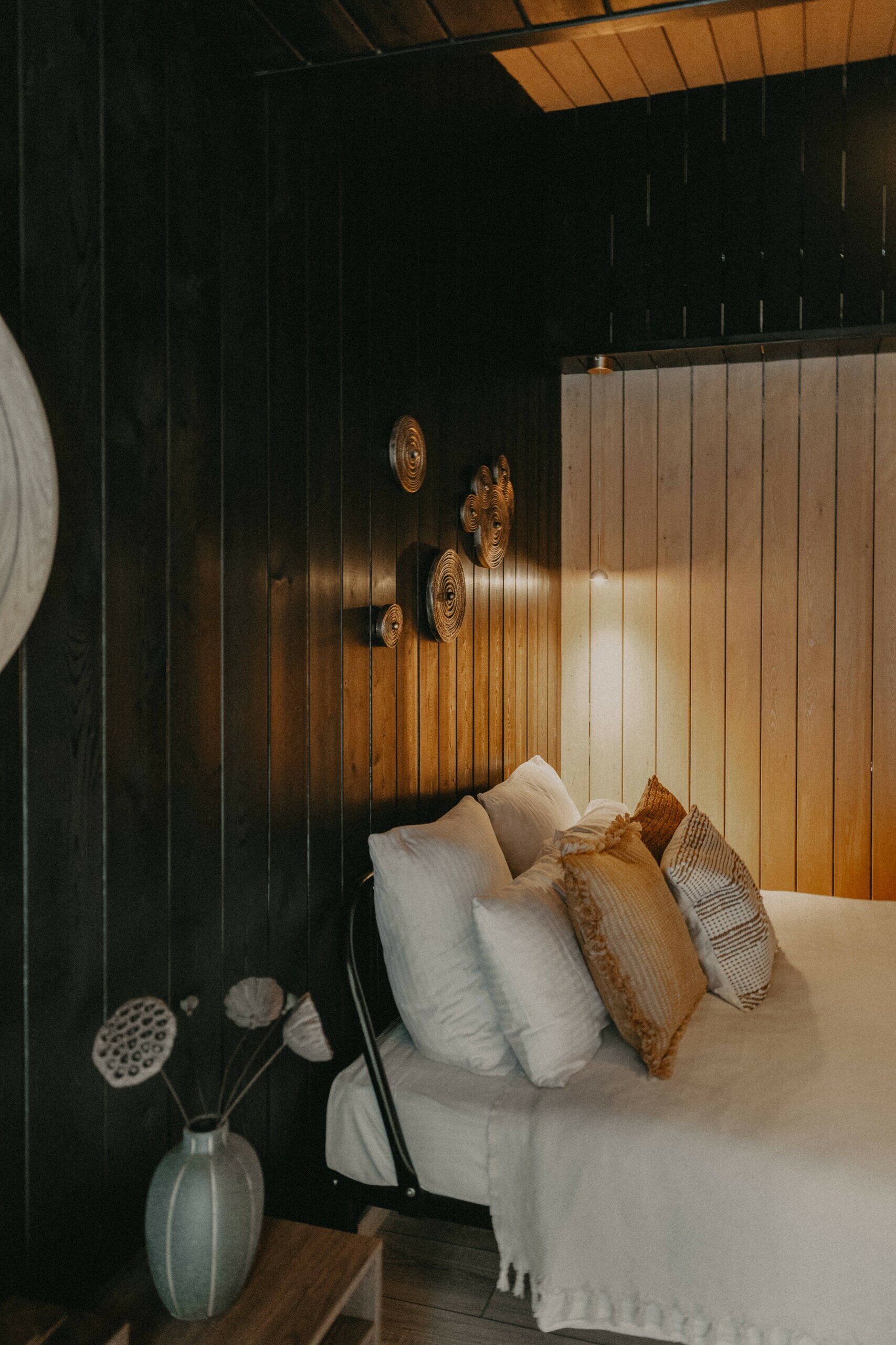 Фото Место под соснами