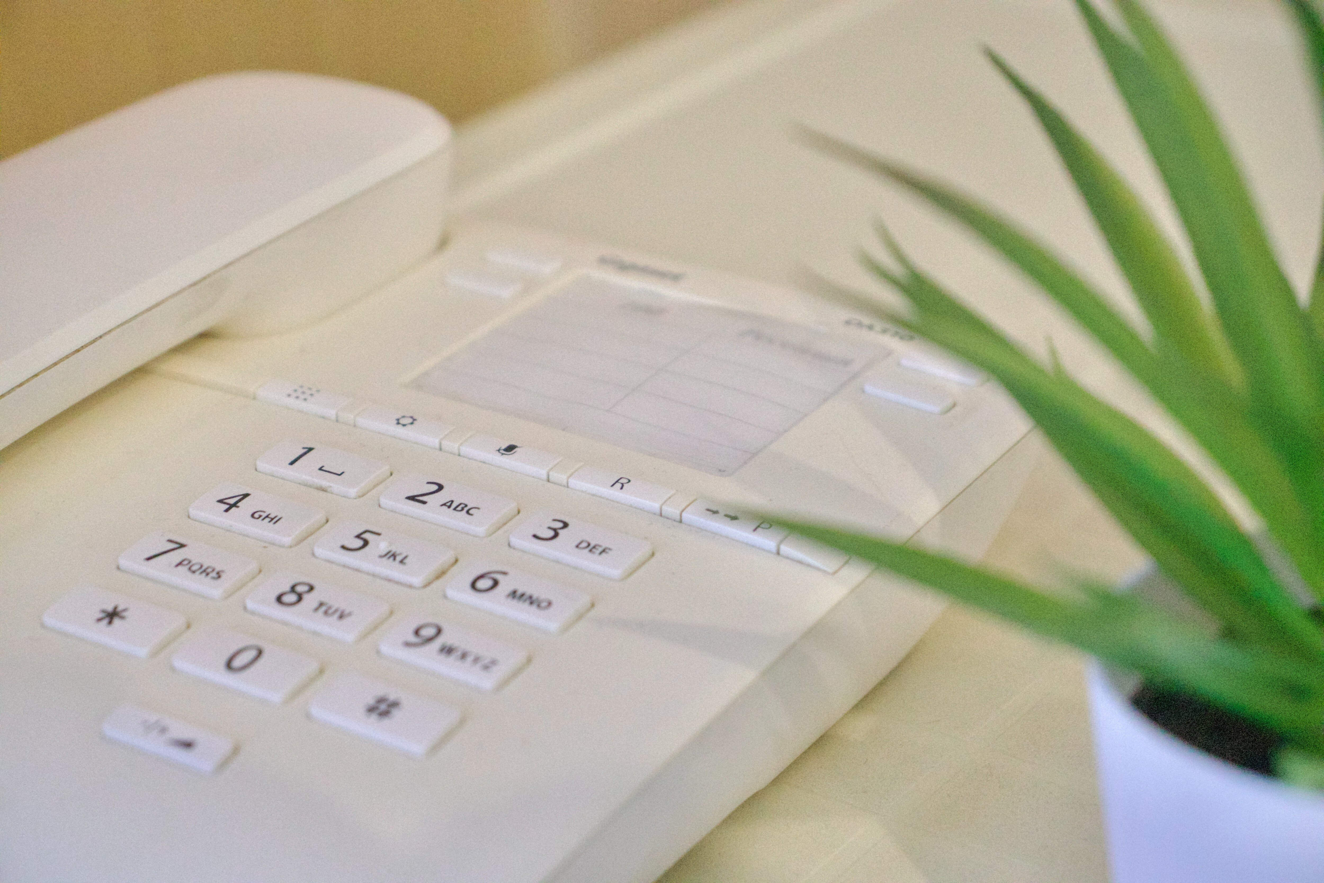 Фото Маргарита