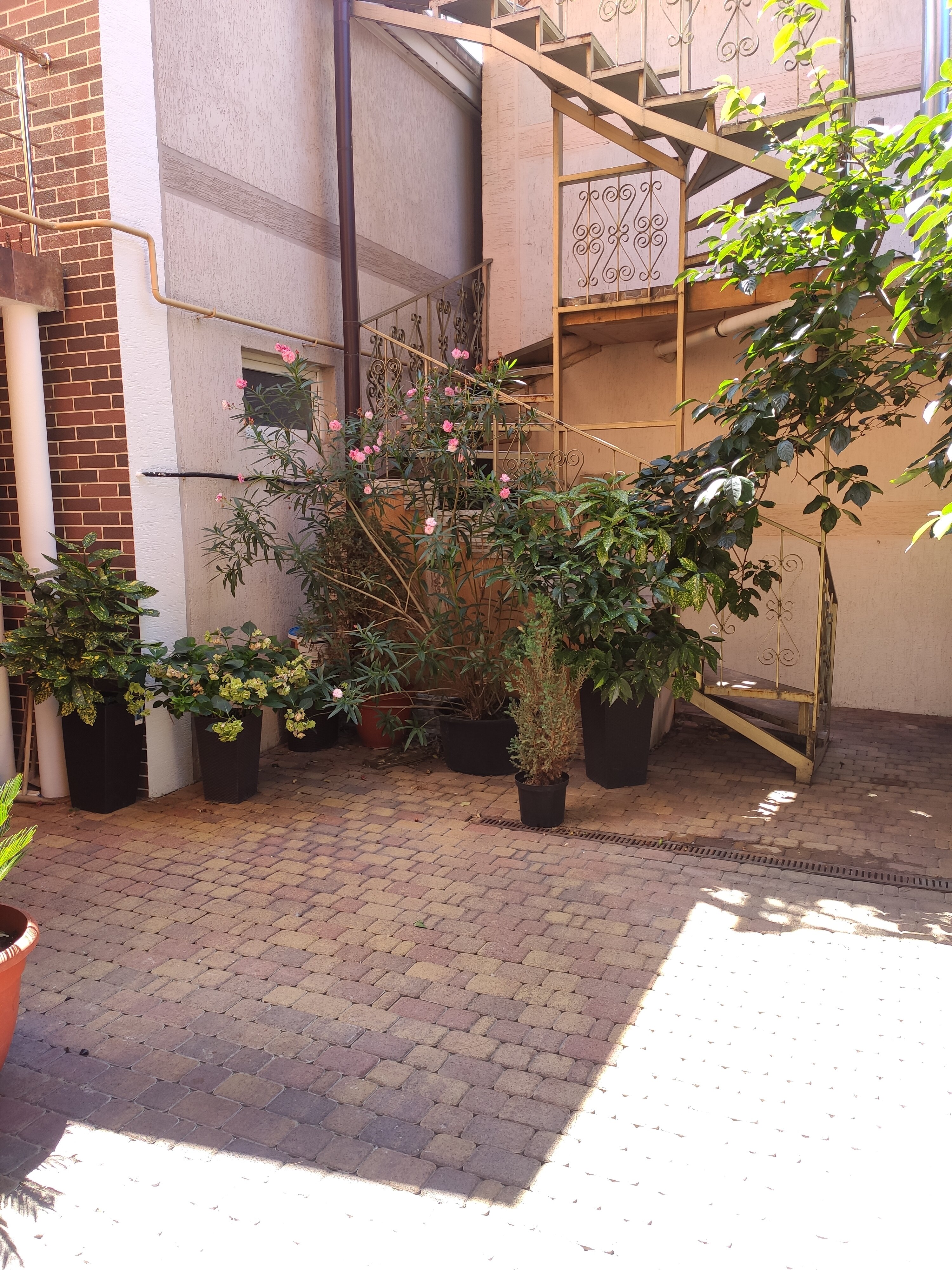 Фото Morskoy priboy