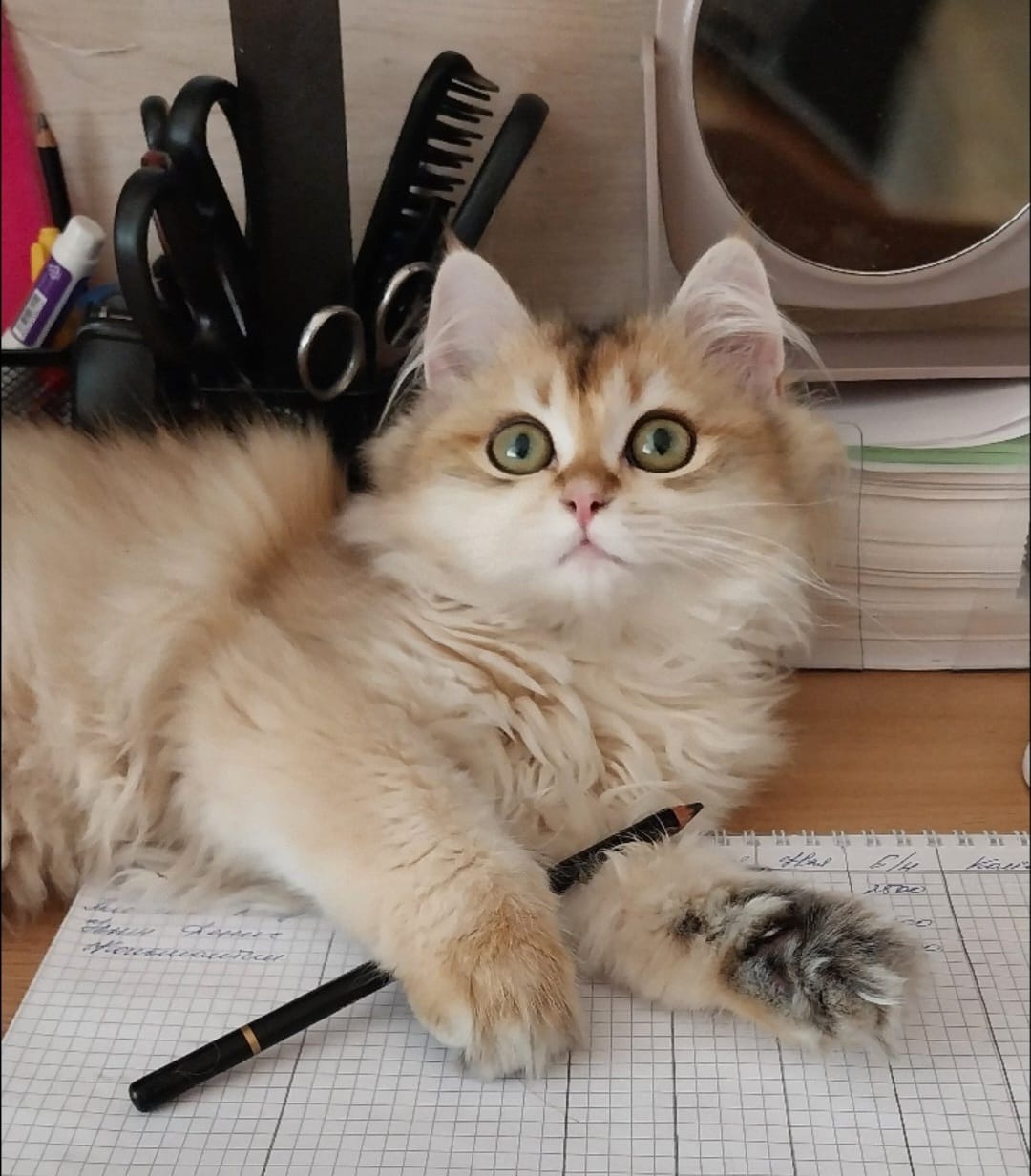 Фото Апгрейд