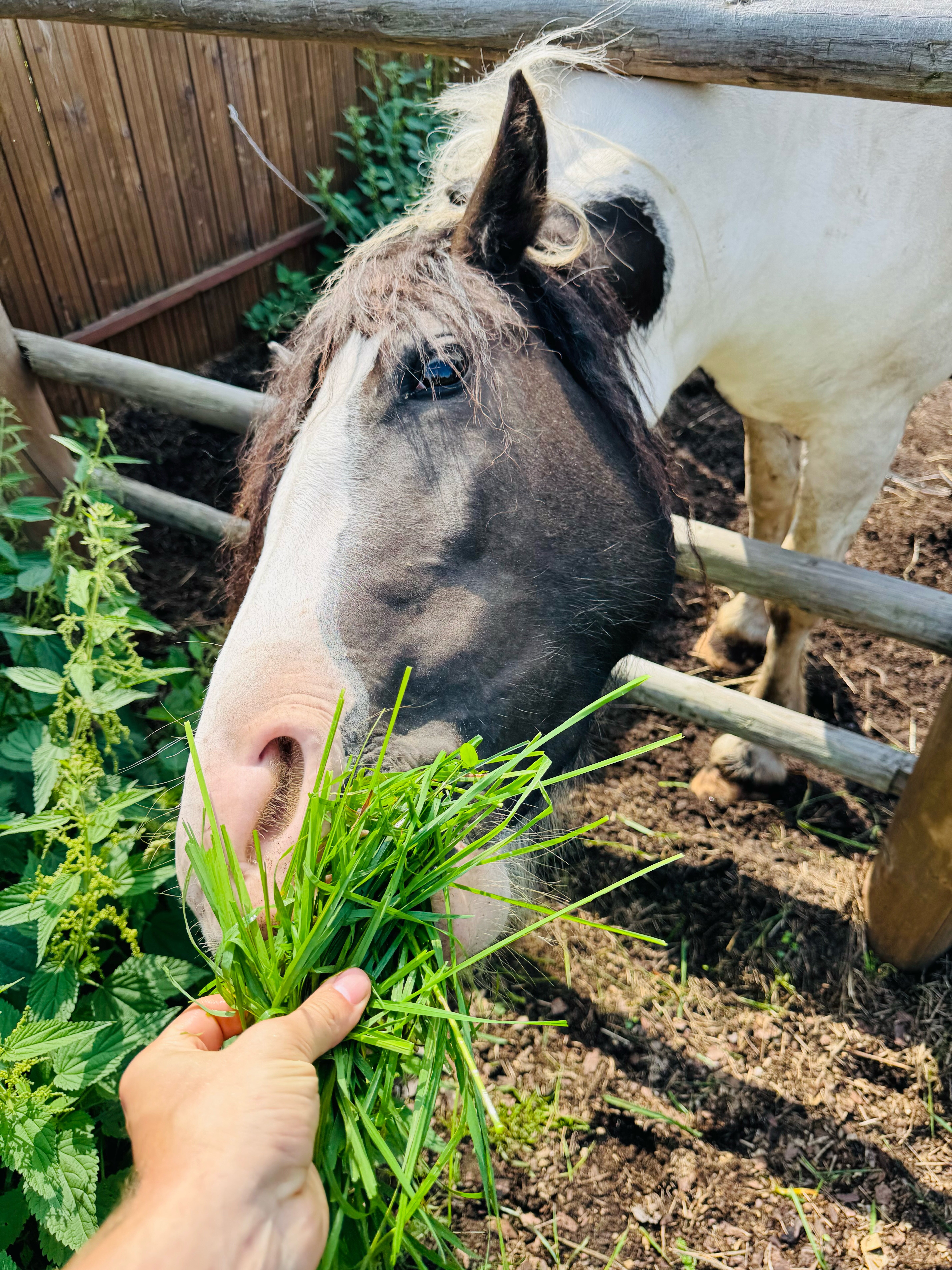 Фото Сокольский Бор