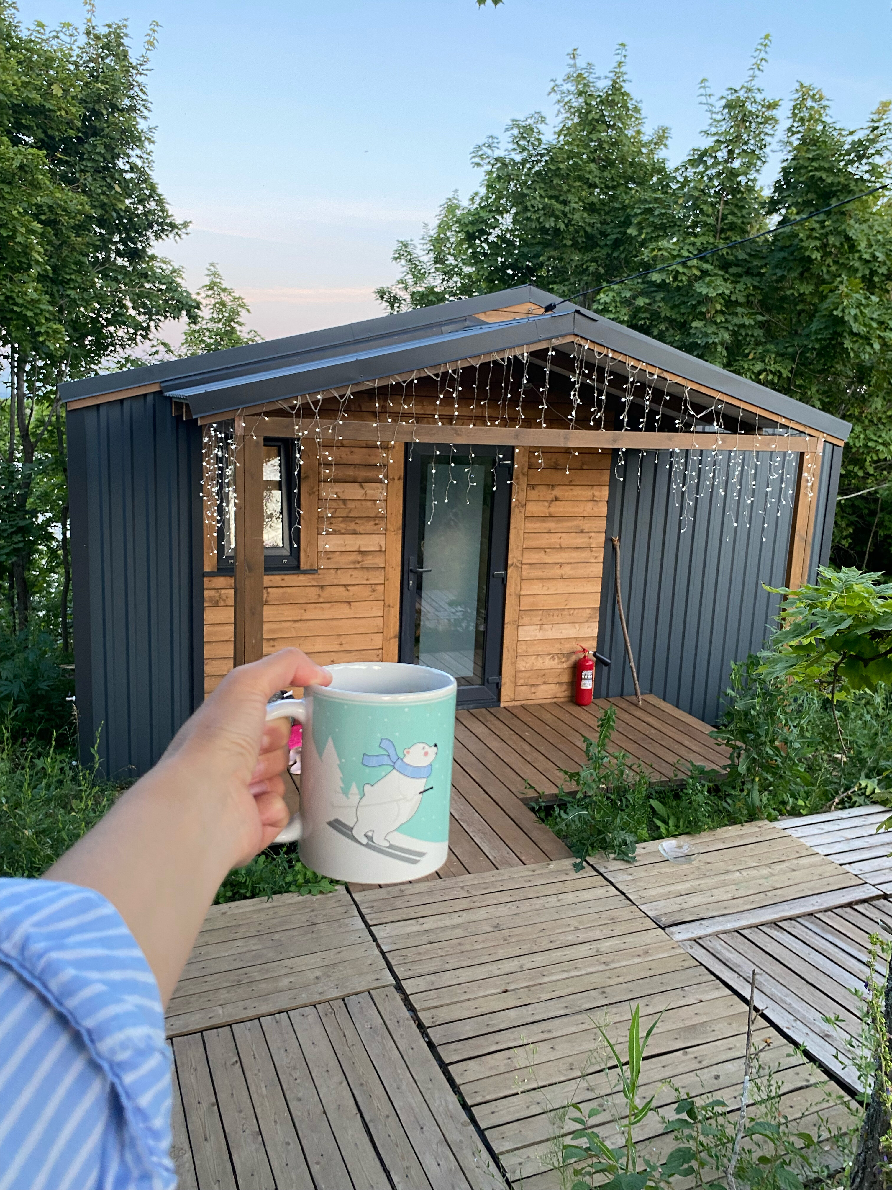 Фото Высота 63 метра над уровнем моря