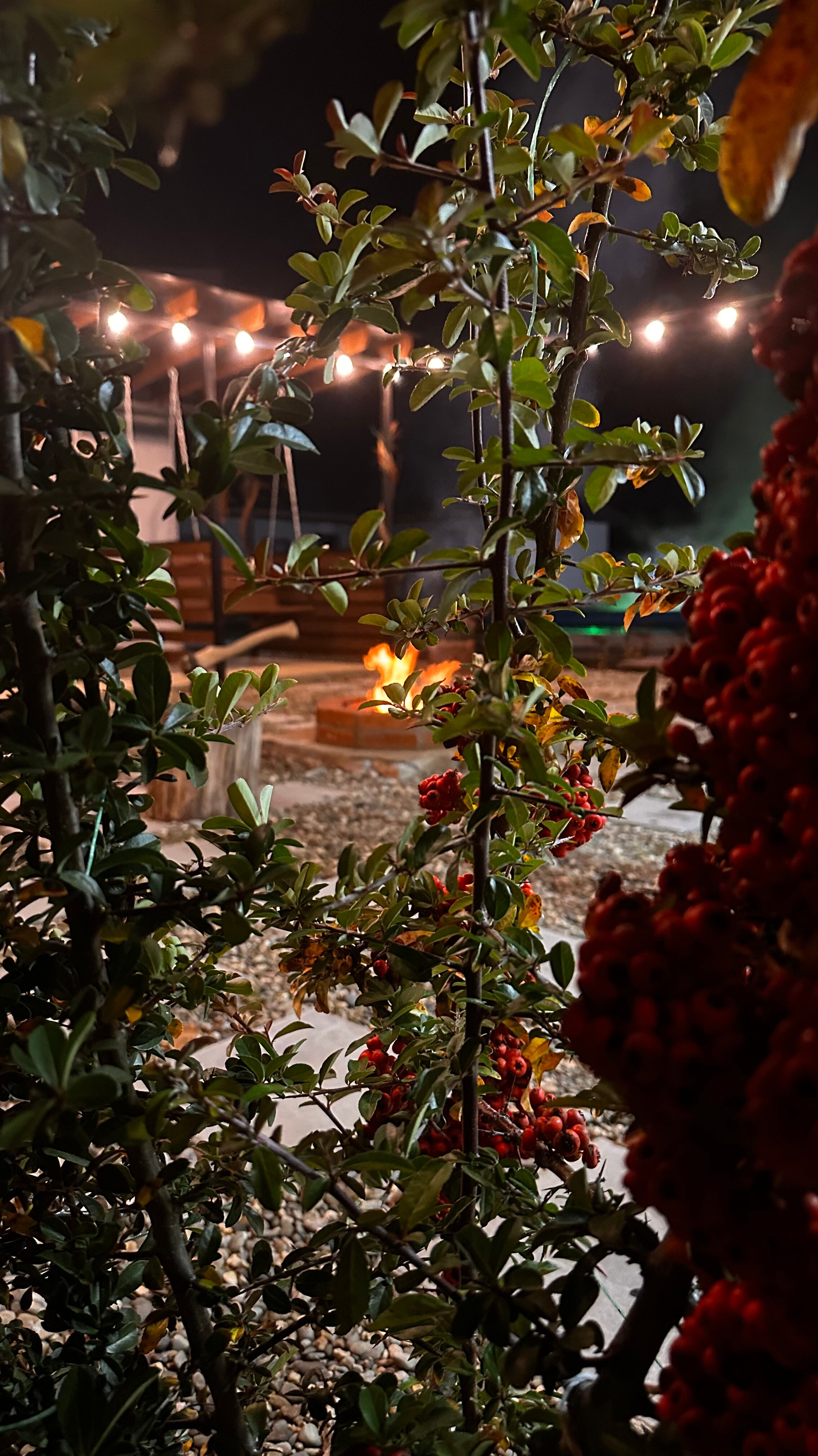 Фото Предгорье 01