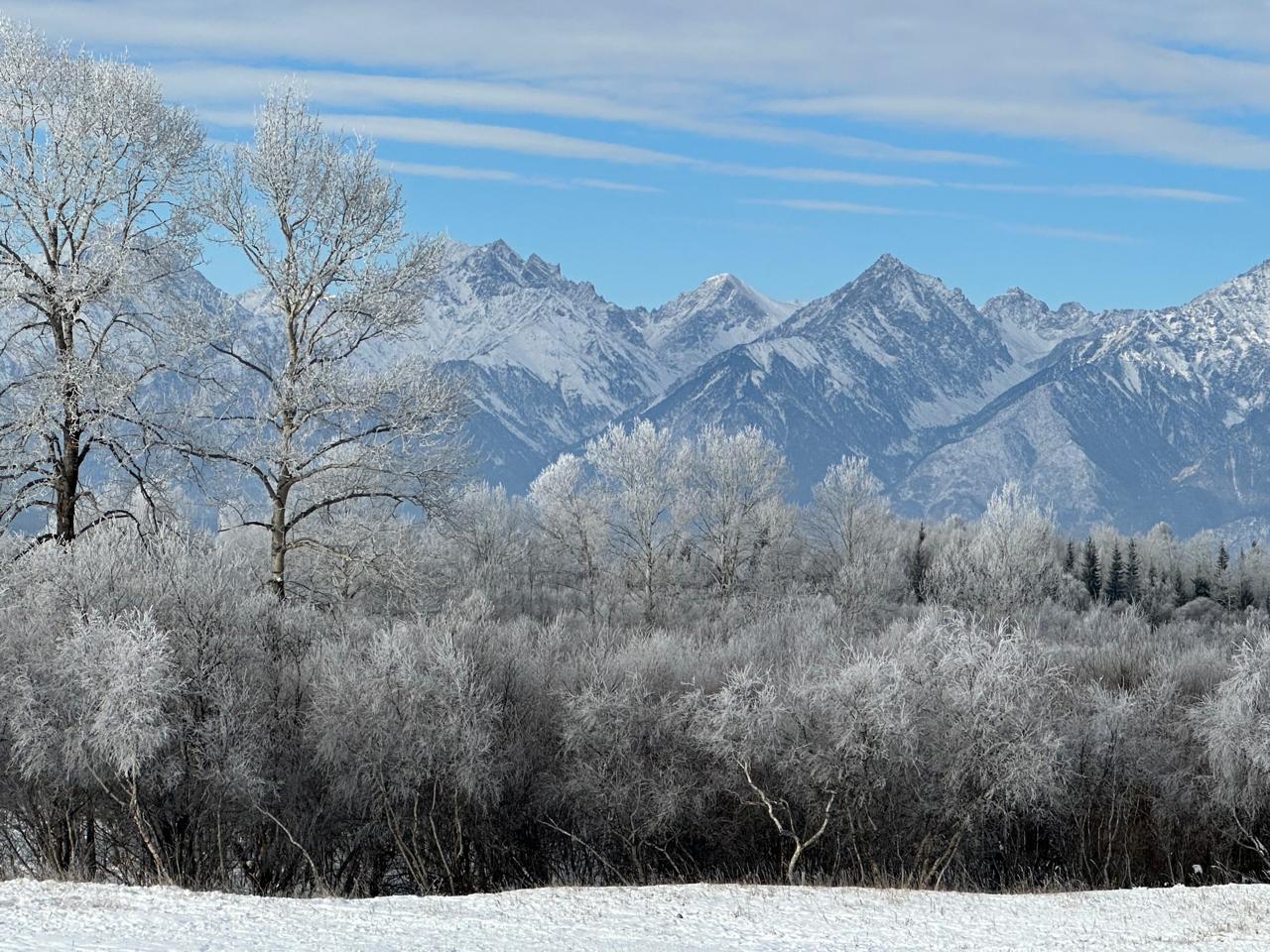 Фото Гостиничный комплекс Красная поляна