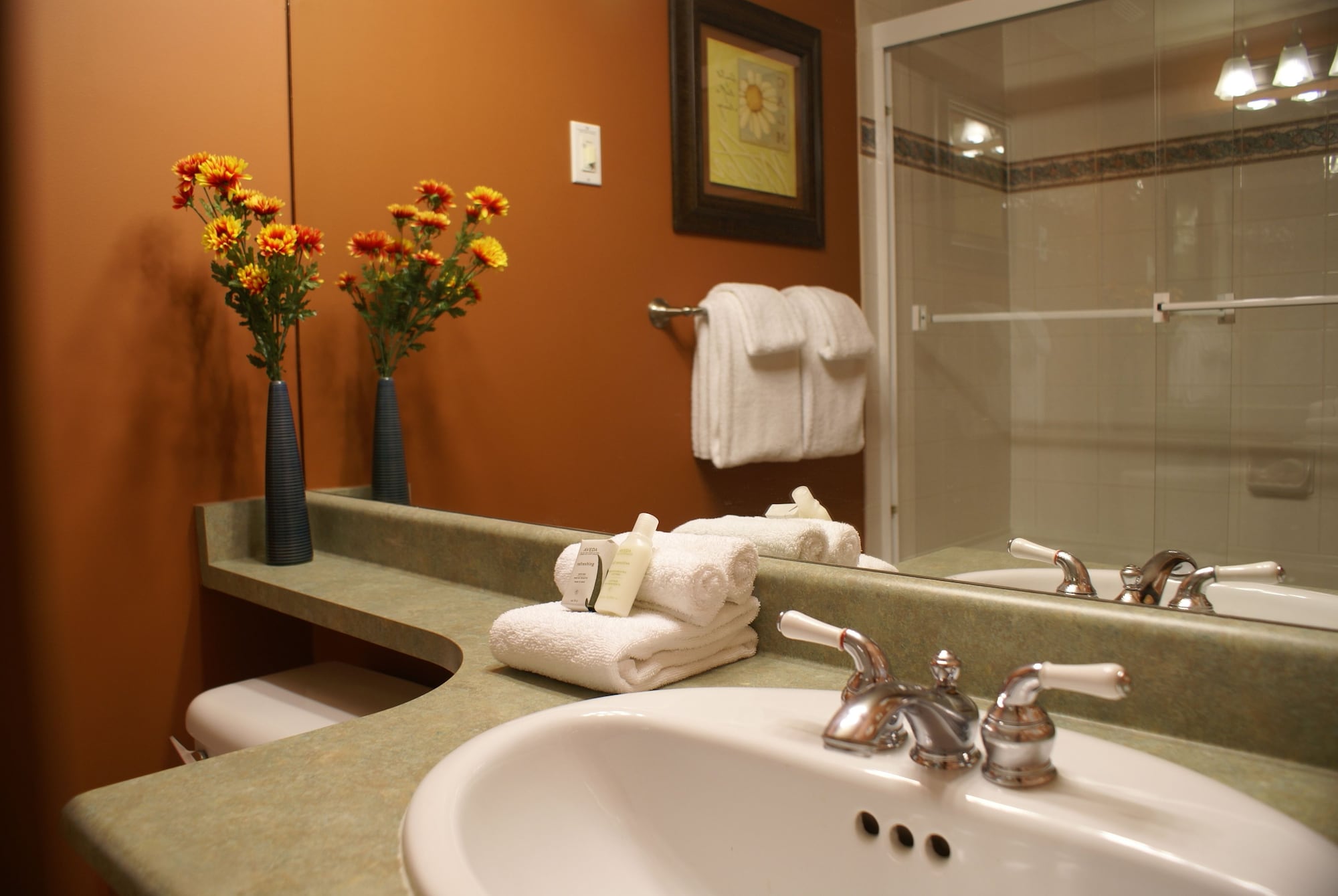 Фото Whistler Superior Properties