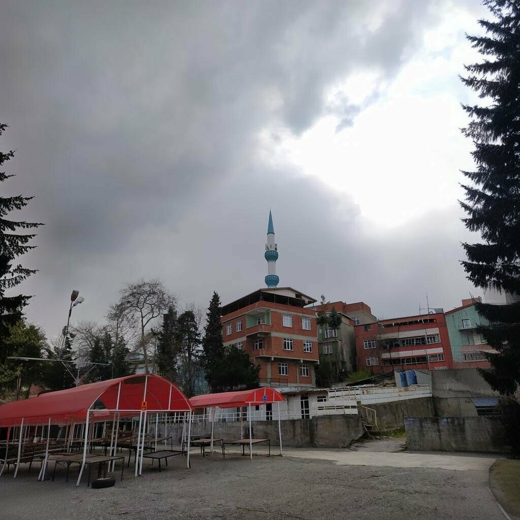 Mosque Resadiye Mosque, Samsun, photo