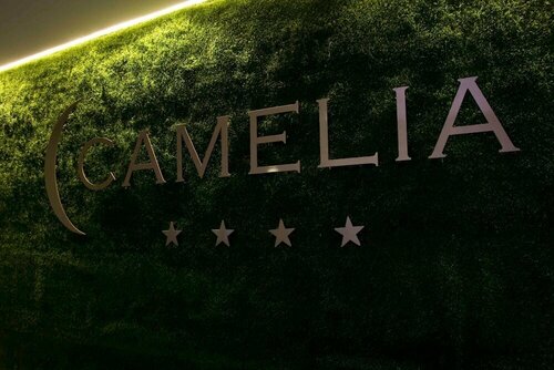 Гостиница Hotel Camelia
