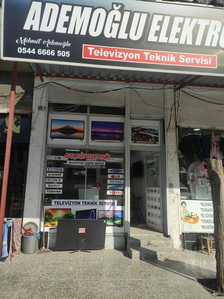 Electronic devices and components Ademoglu Electronics, Gaziantep, photo