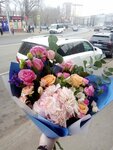 Цветочка (ulitsa imeni Akademika S.G. Navashina, 2А), flower shop