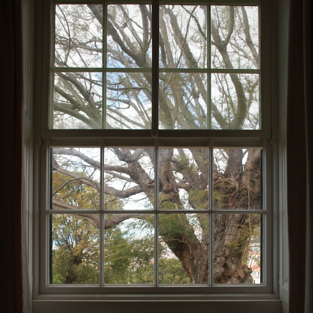 Фото Quinta das Malvas