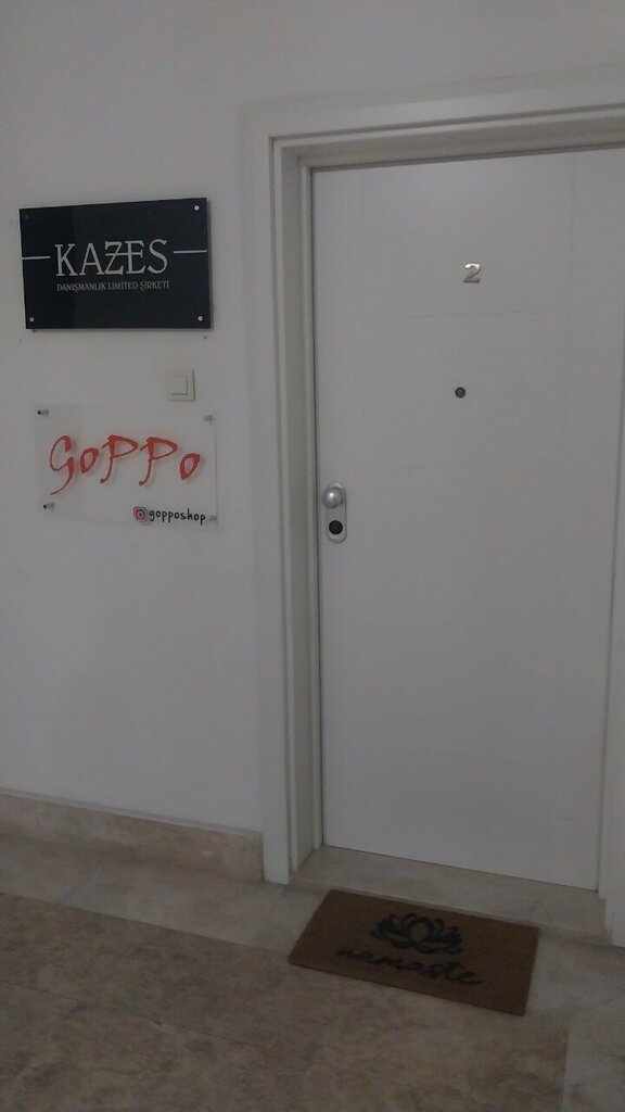 Business consulting Kazes Consulting, Ankara, photo