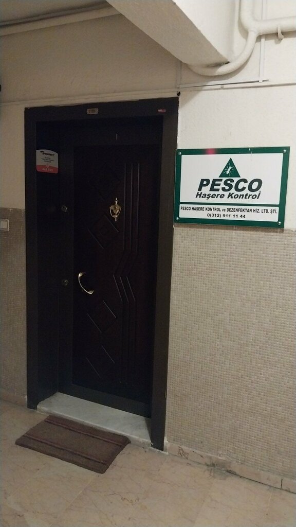 Disinfection, disinsection, deratization Pesco, Ankara, photo