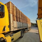 Cns Elektronik (Izmir, Bornova District, Kemalpasa Neighborhood, 7058/5th Street, 14), food processing equipment