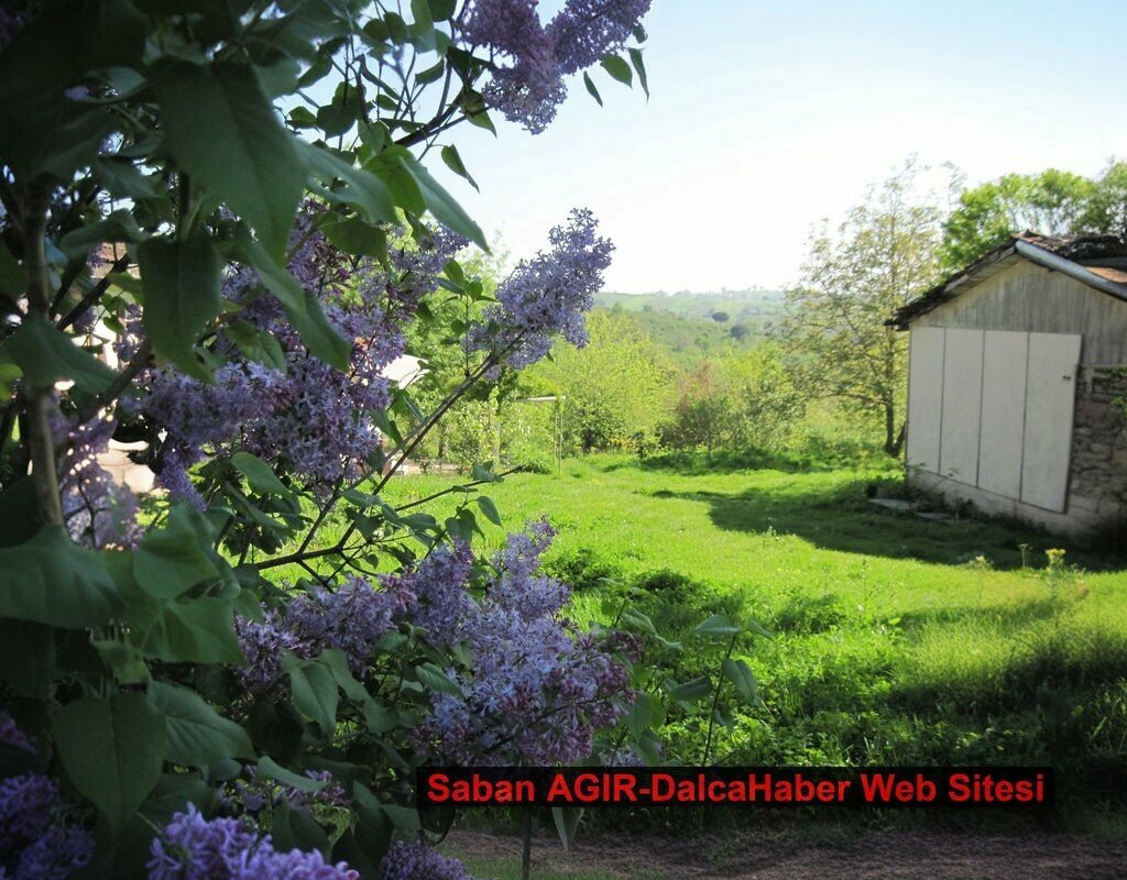 Primary school Dalca Village Primary School, Kandira, photo