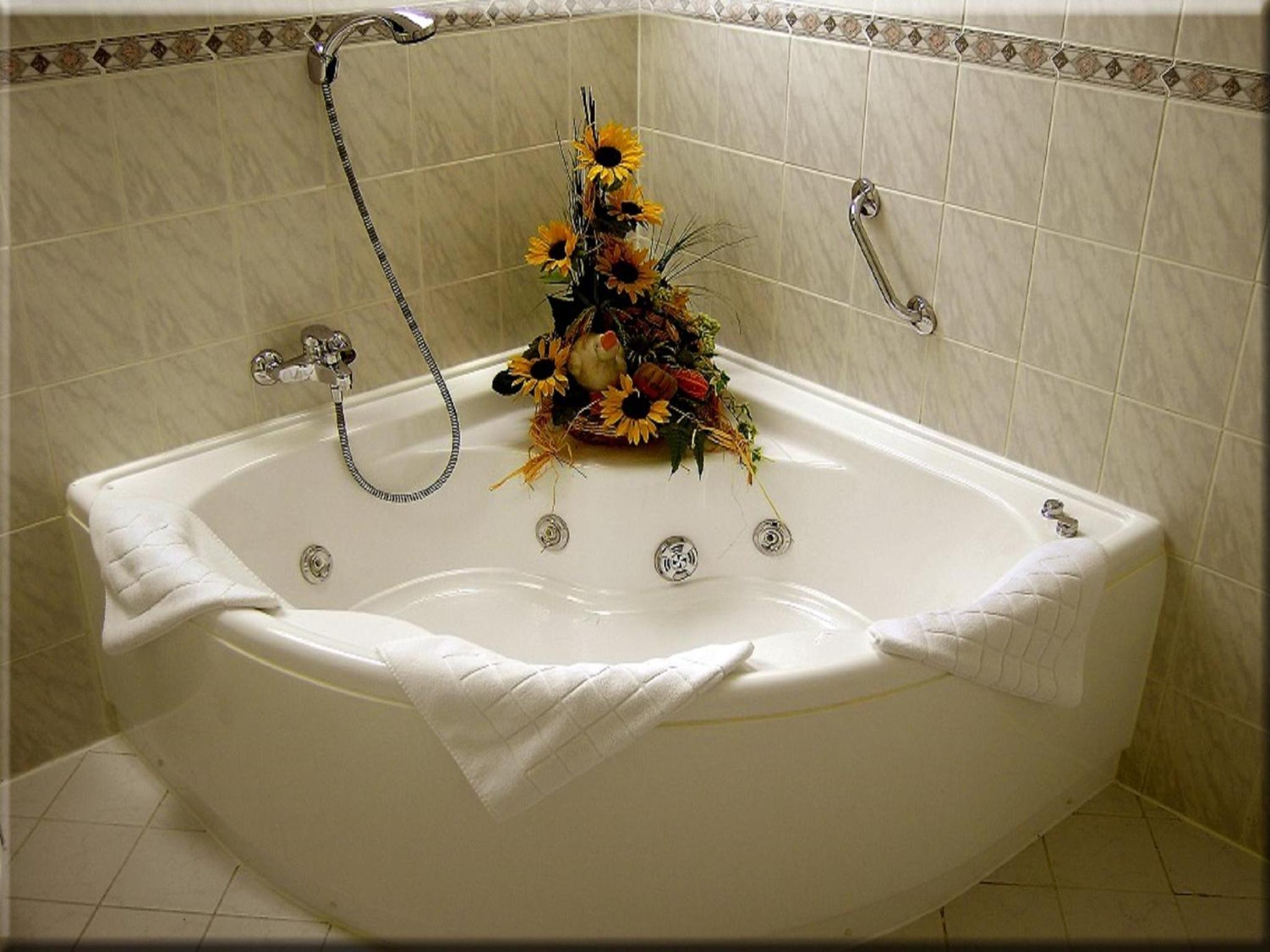 Фото Hotel Restaurant Graf Rolshausen