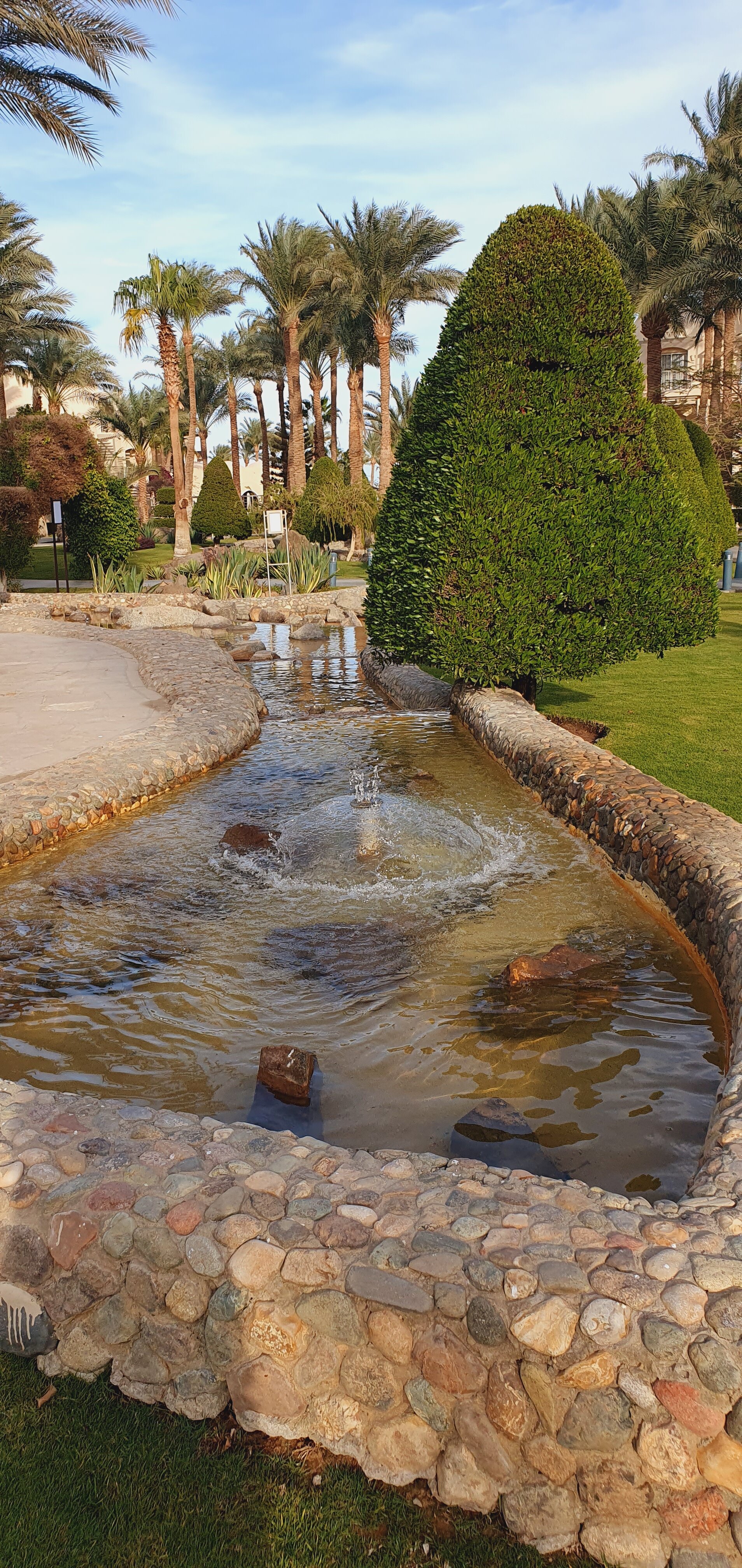 Фото Джаз Макадина