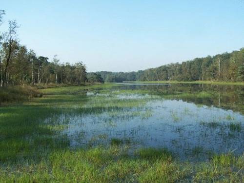 Фото Boshotel Overberg