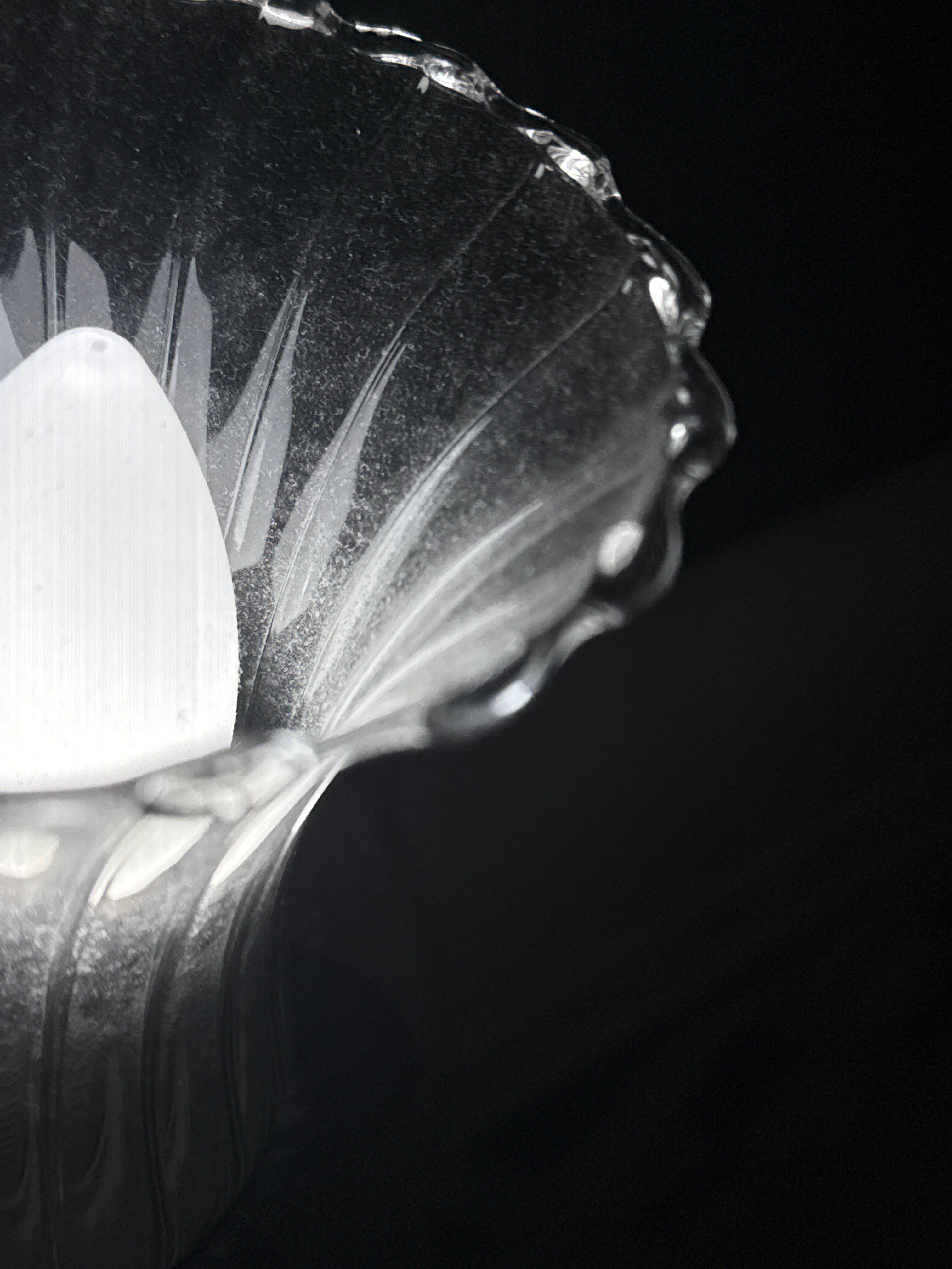 Фото Астория