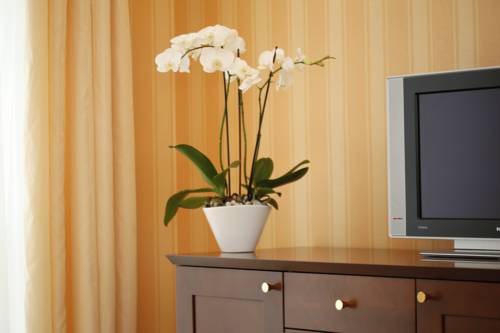 Фото Hotel Sandor Pavillon