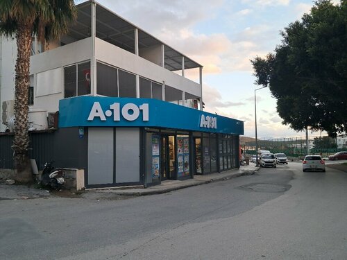A101