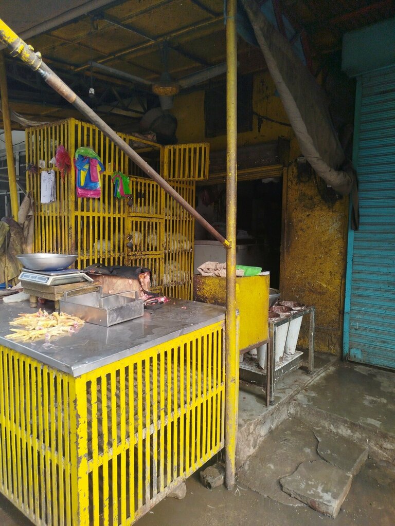 Egg and poultry meat Usaman Butt Chikhen Shop, Lahore, photo