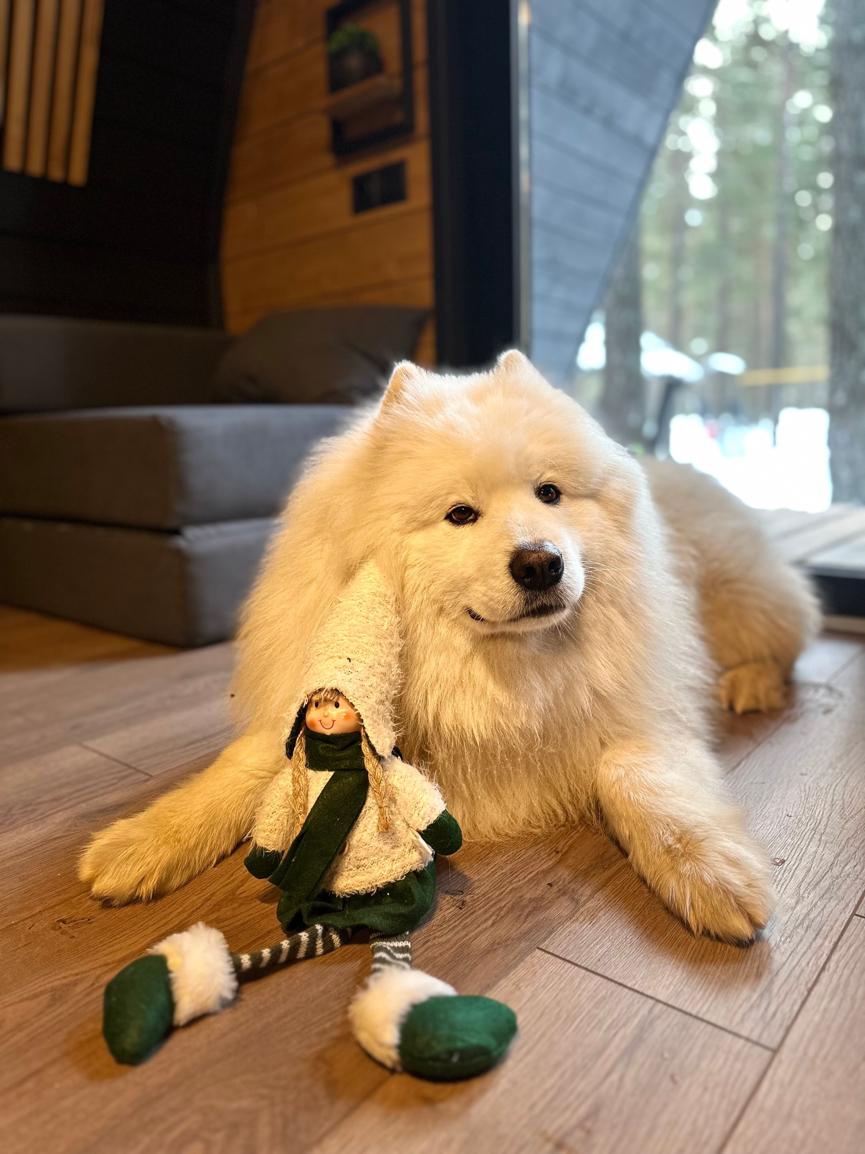 Фото Истера трэвл