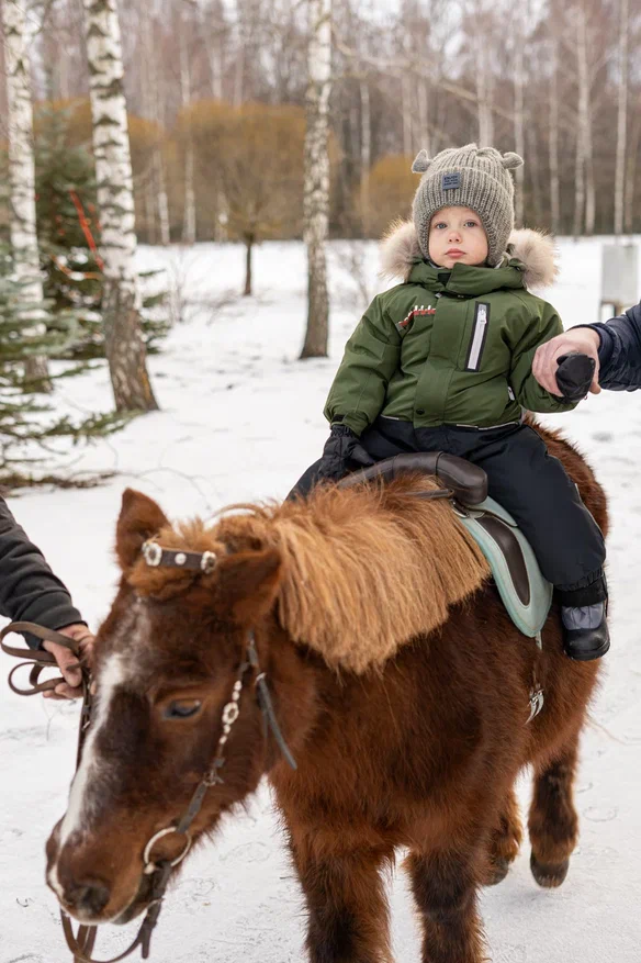 Фото Дом на Лесной Опушке