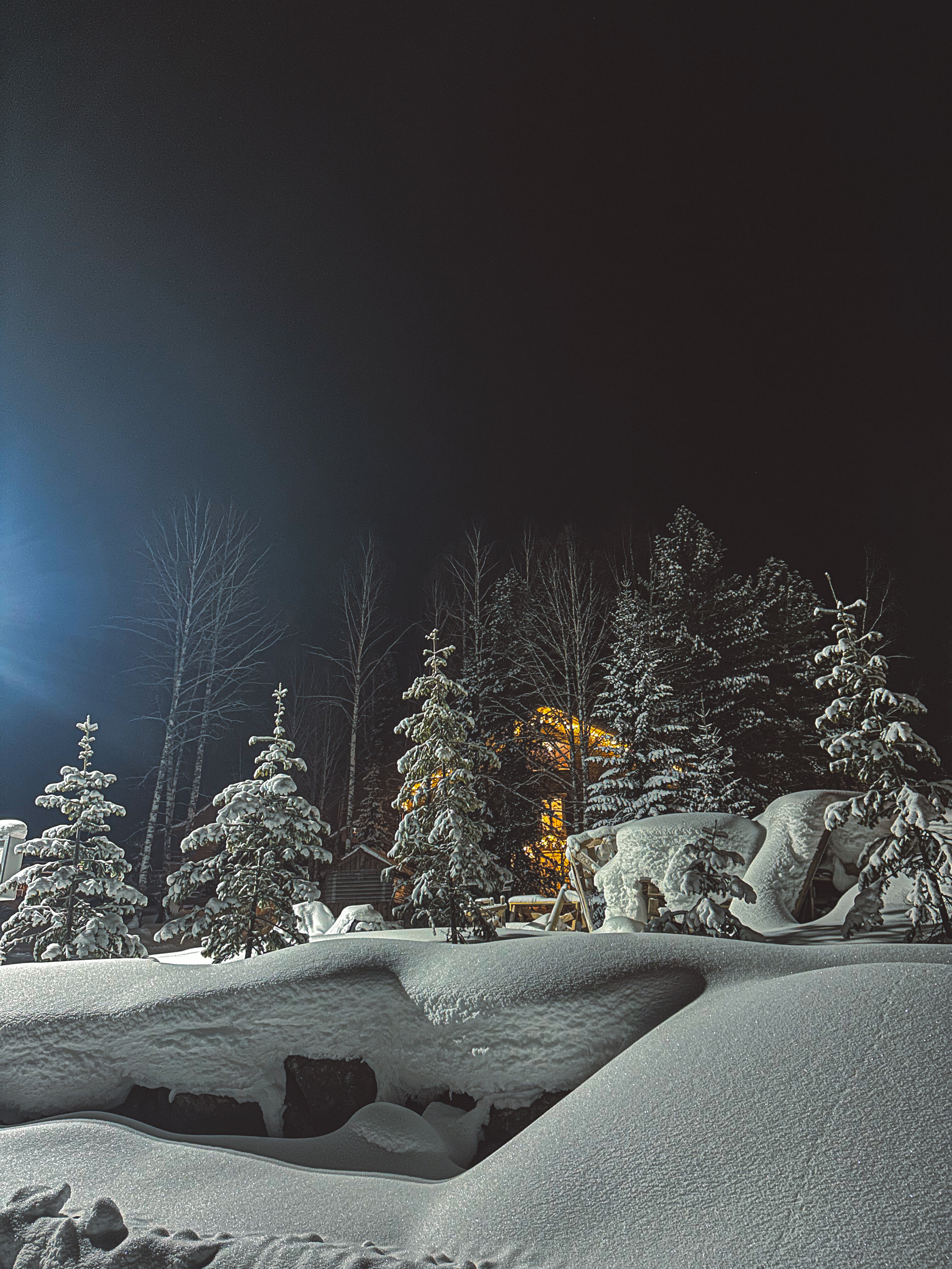 Фото Сибирский