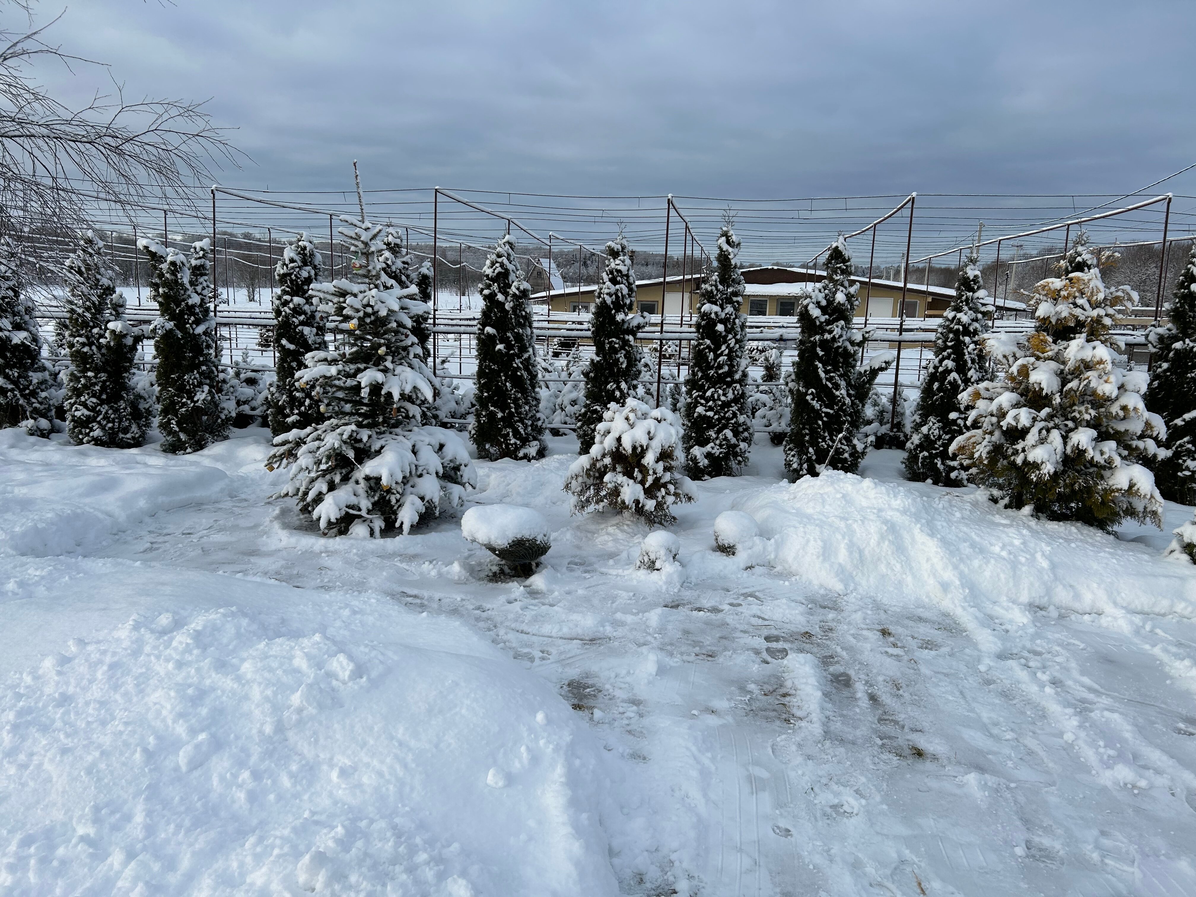 Фото Усадьба Маруся