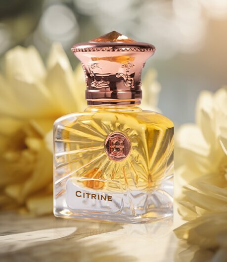 Perfume and cosmetics shop Cunzite, Dubai, photo