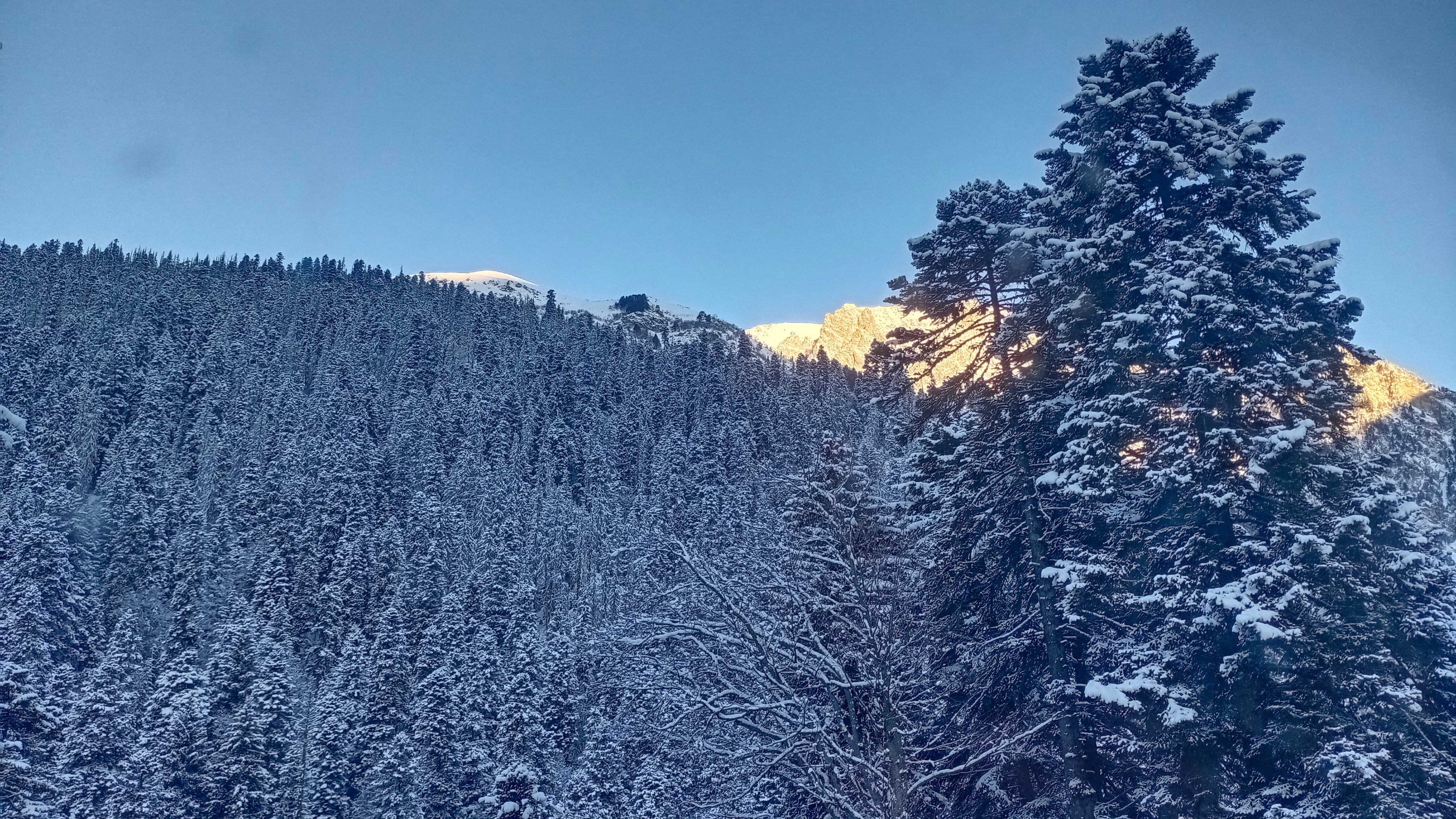 Фото АльпенХауз