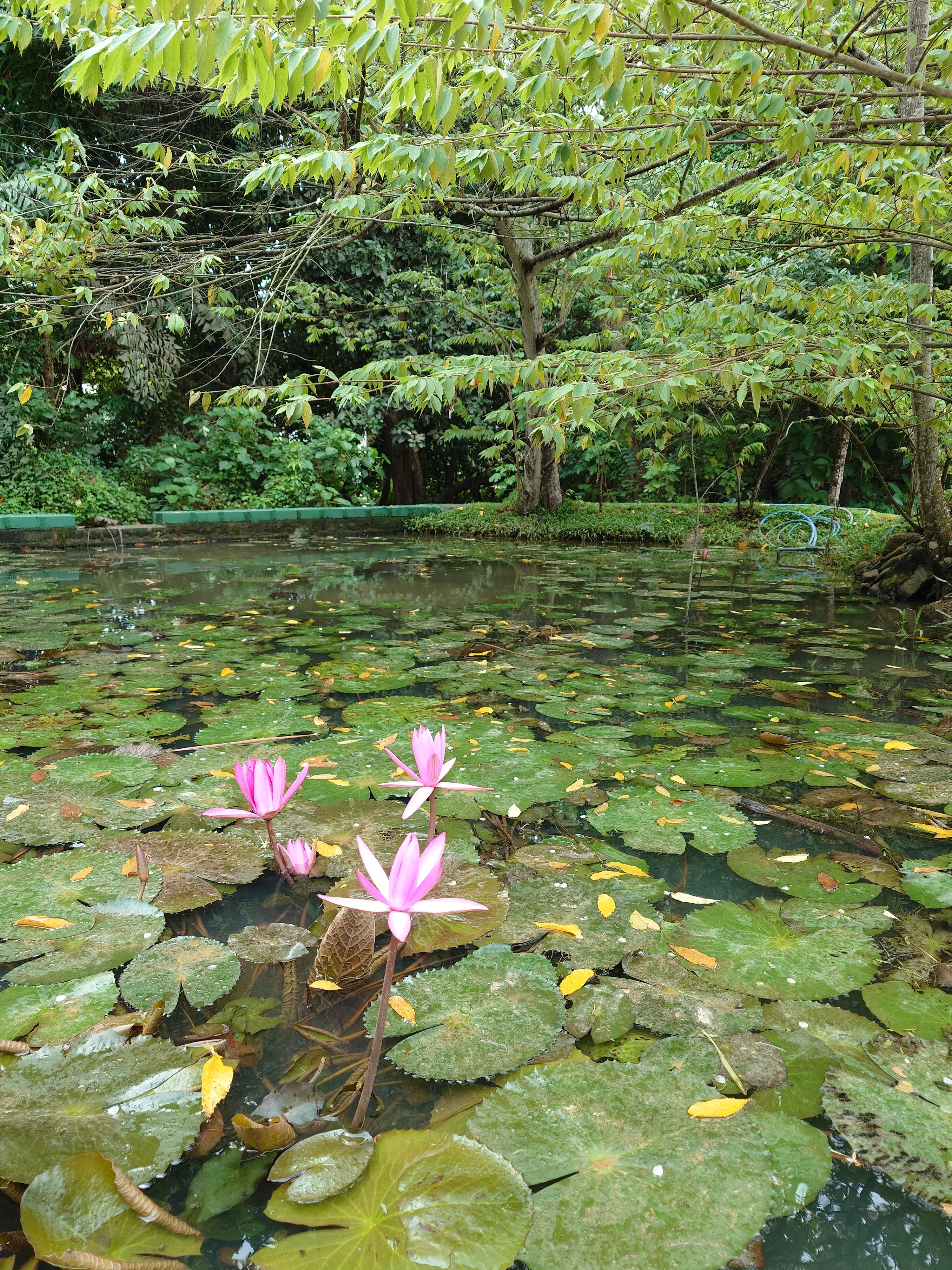 Фото Anantara Peace Haven Tangalle Resort