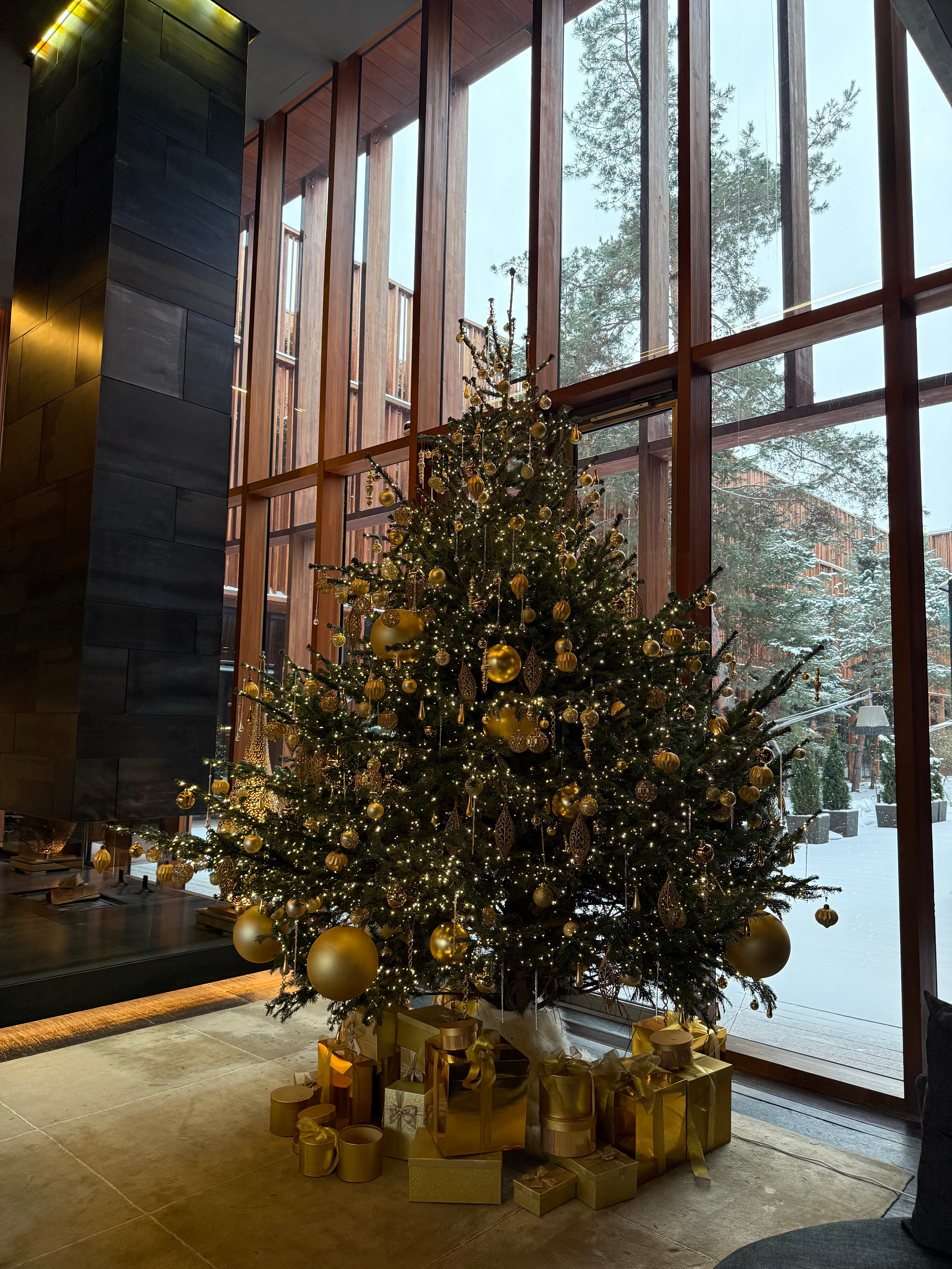 Фото Barvikha Hotel & SPA