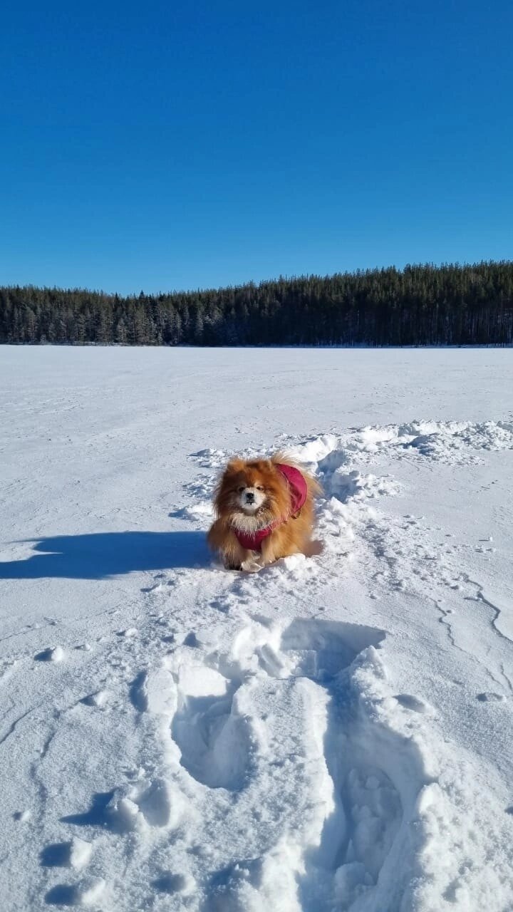 Фото Семиозерие