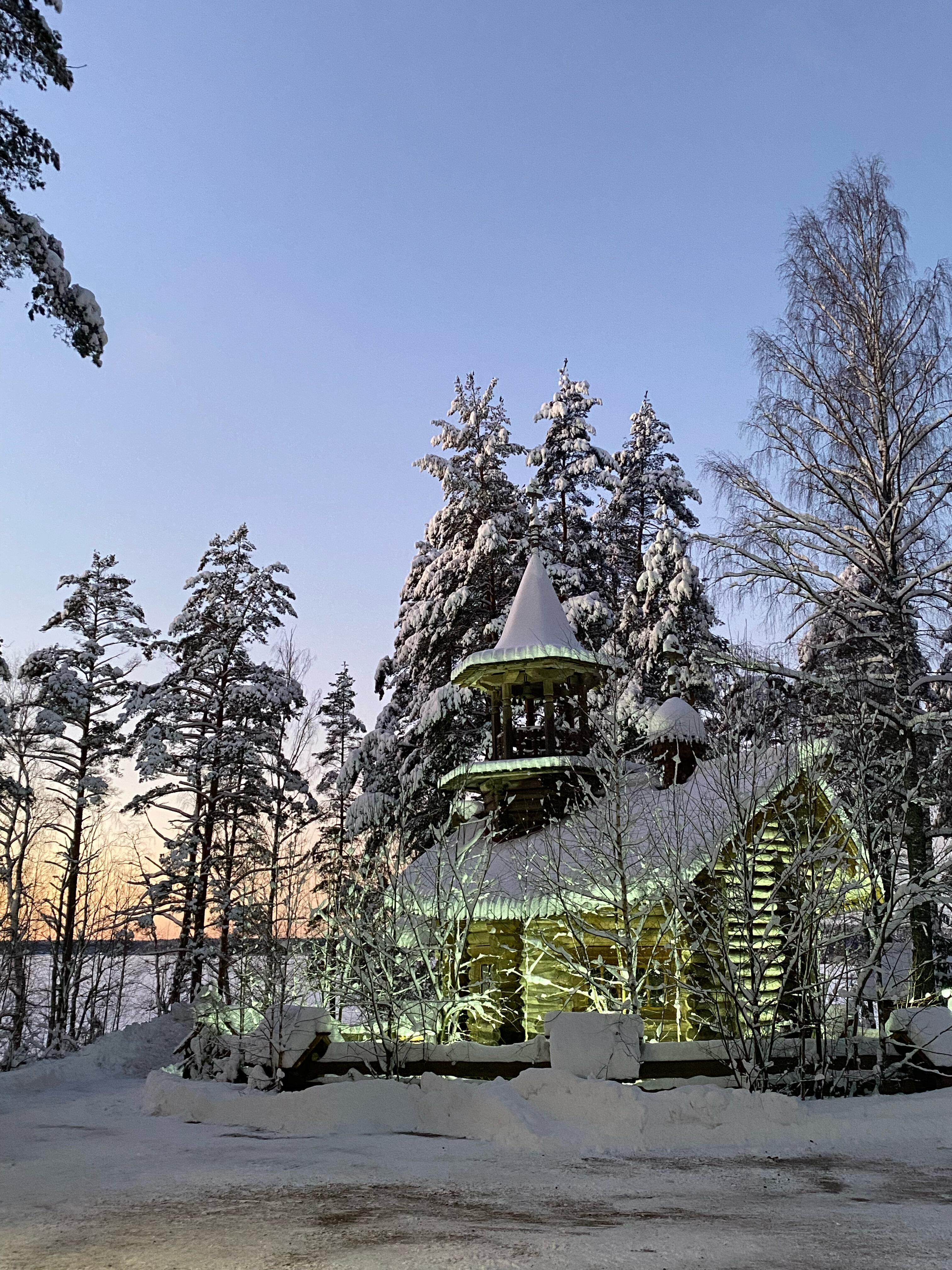 Фото Вереск