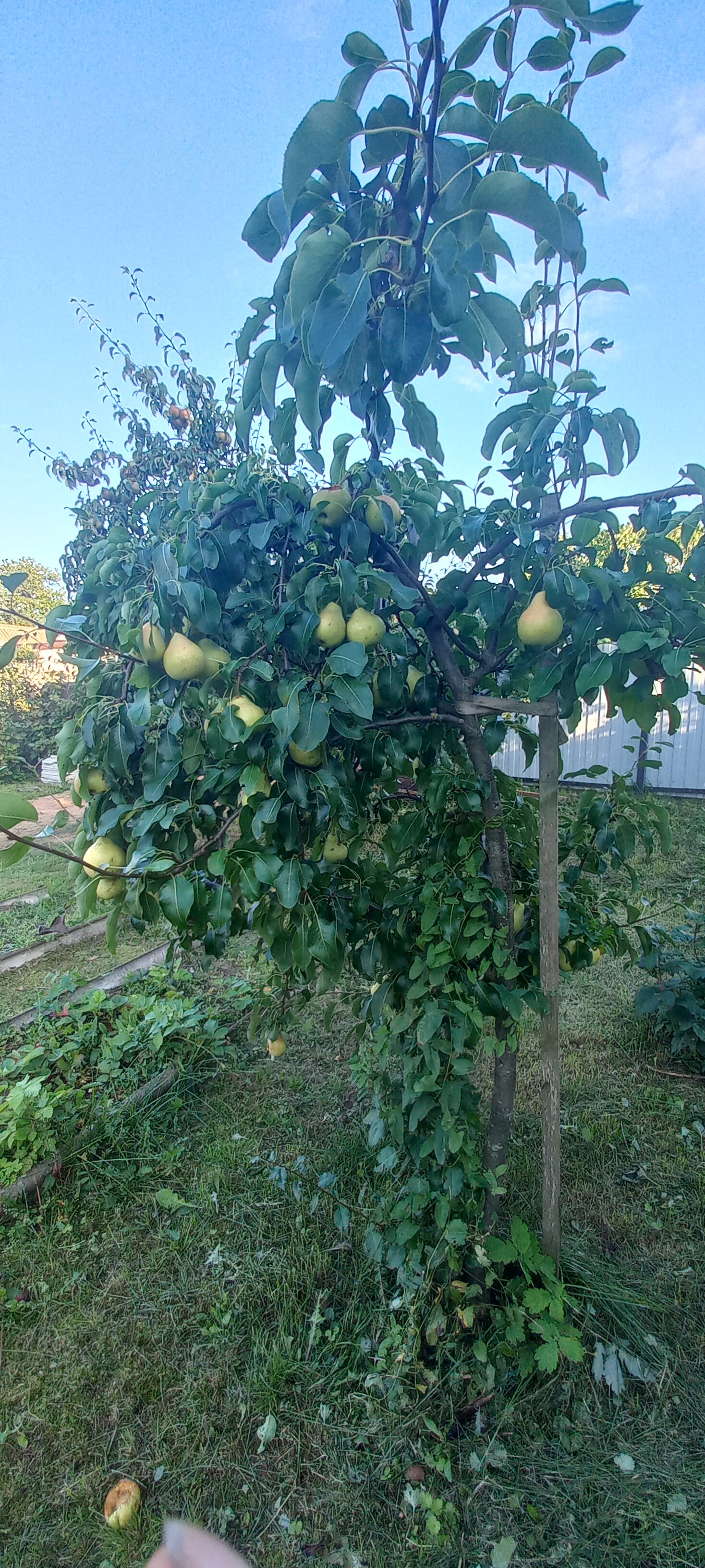 Фото Ловать