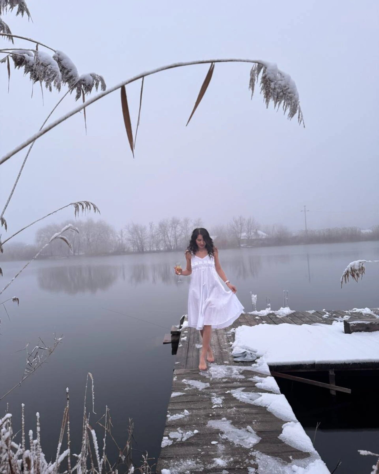 Фото Река лес