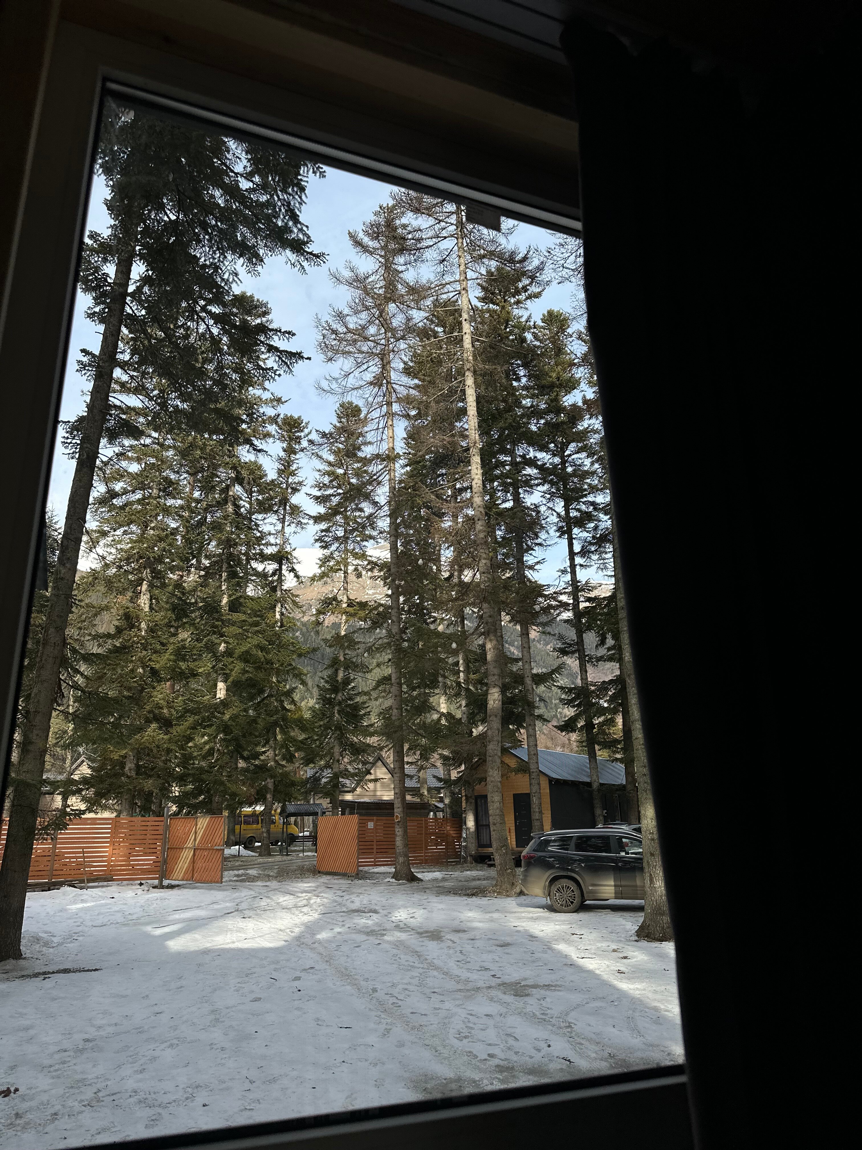 Фото Пихтовый парк