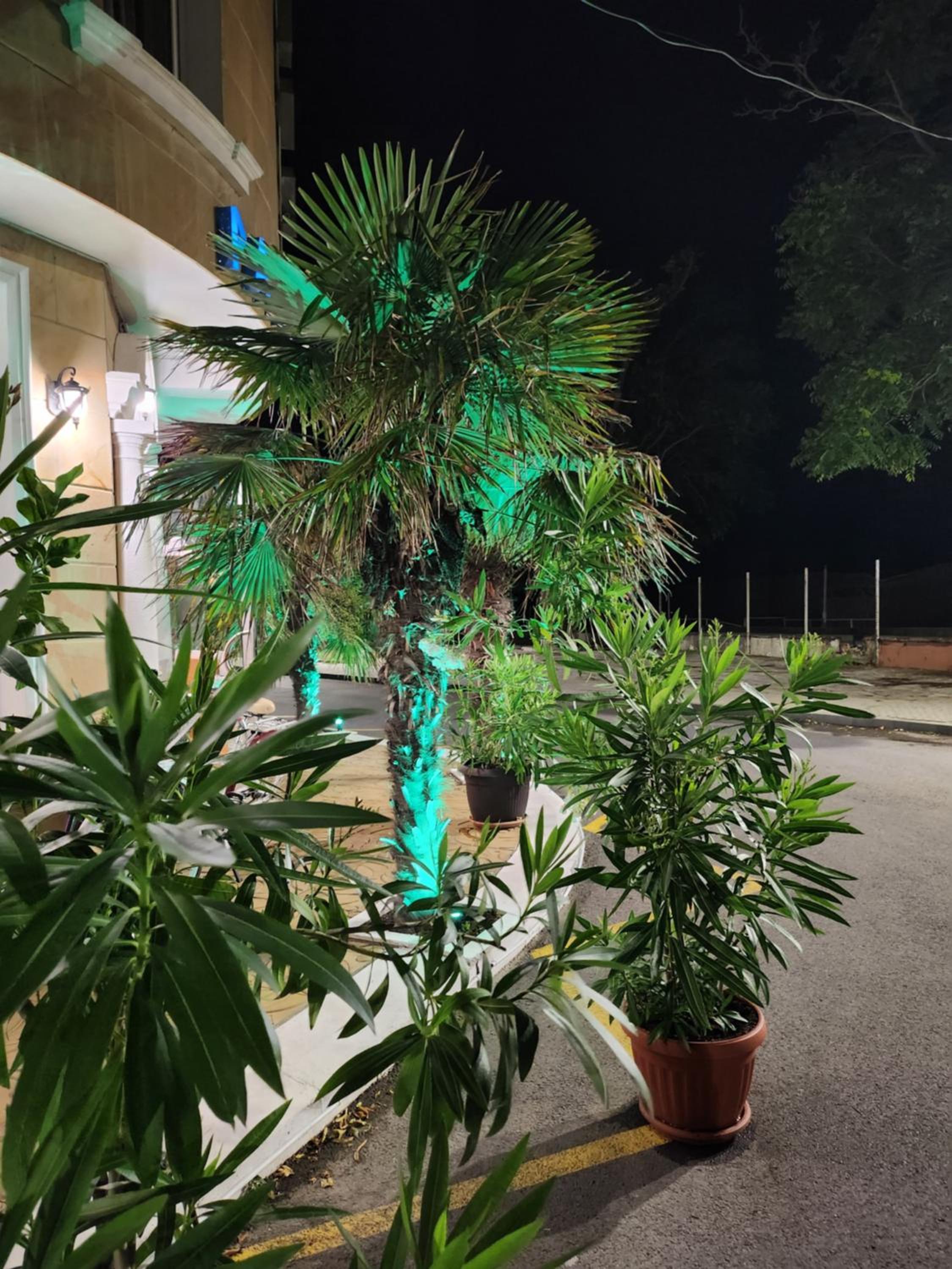 Фото Paros Hotel Pomirie Bulgaria