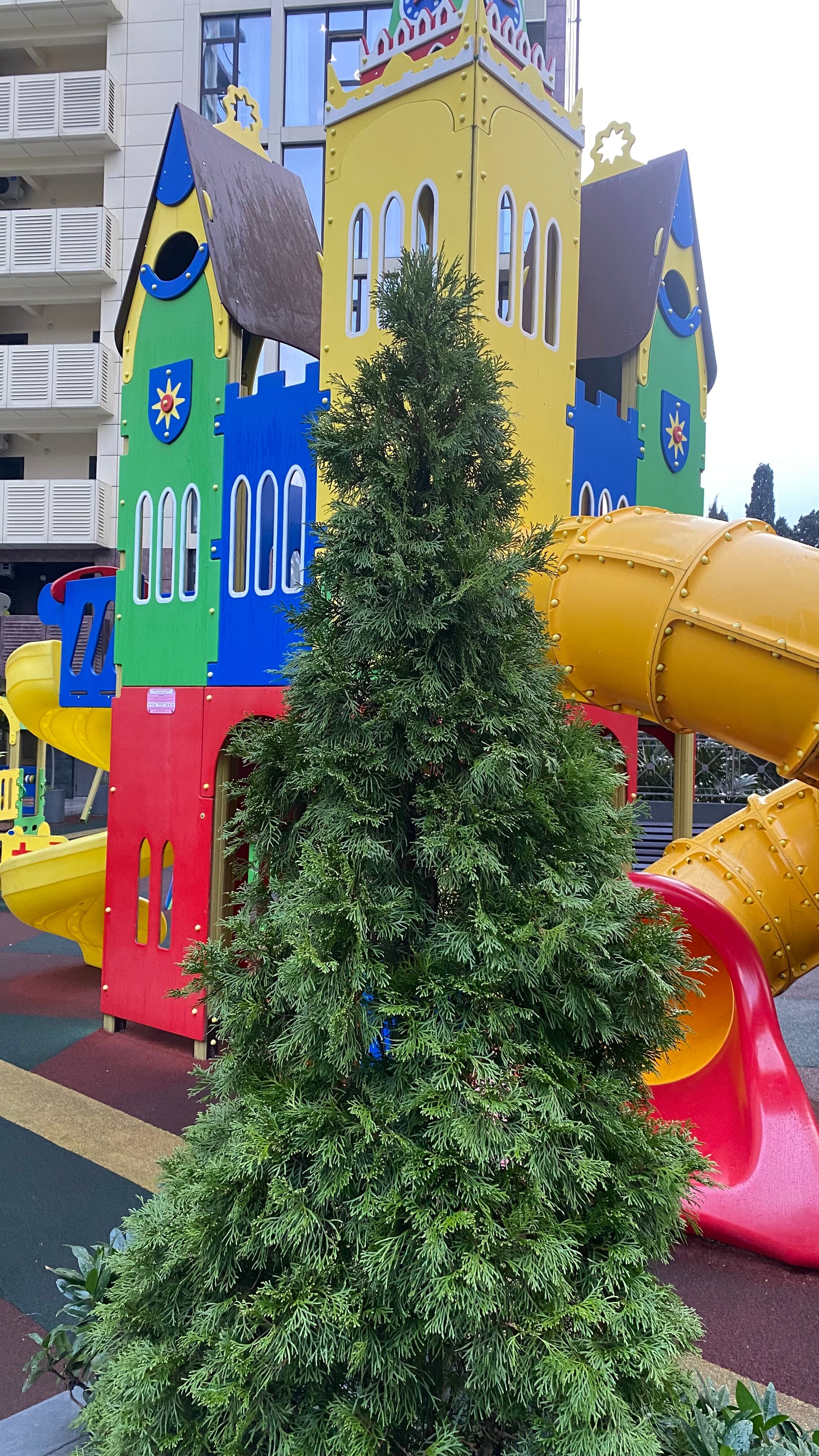 Фото Marisol Premium