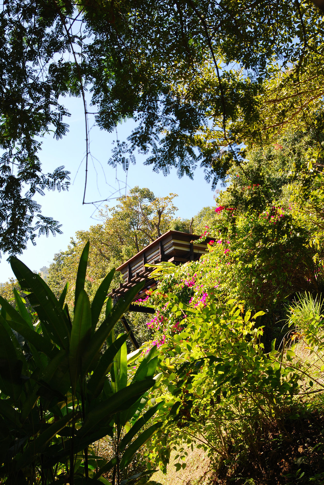 Фото Vanilla Hill