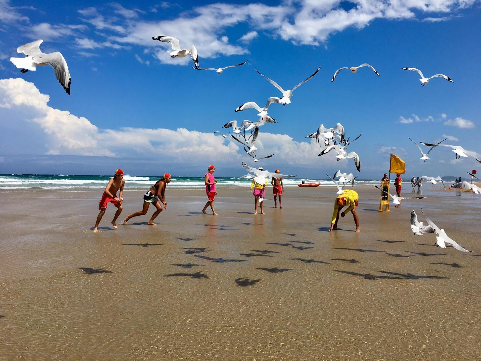 Фото Hi Ho Beach Apartments