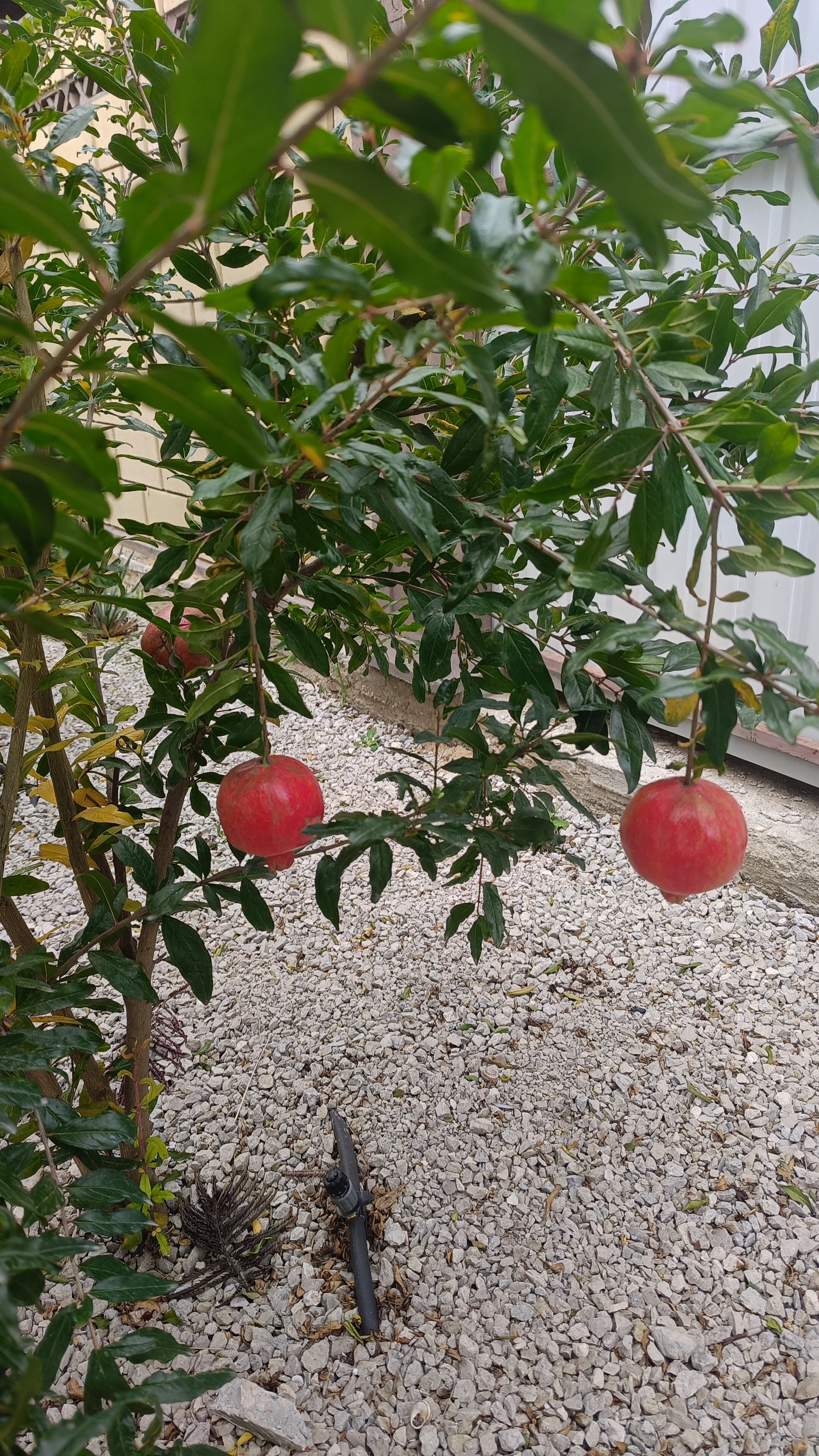 Фото Вилла 7 Ветров