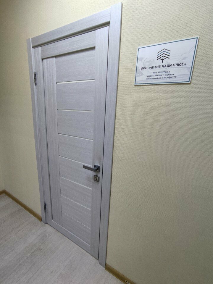 Accountants Aktiv Line Plus, Voronezh, photo