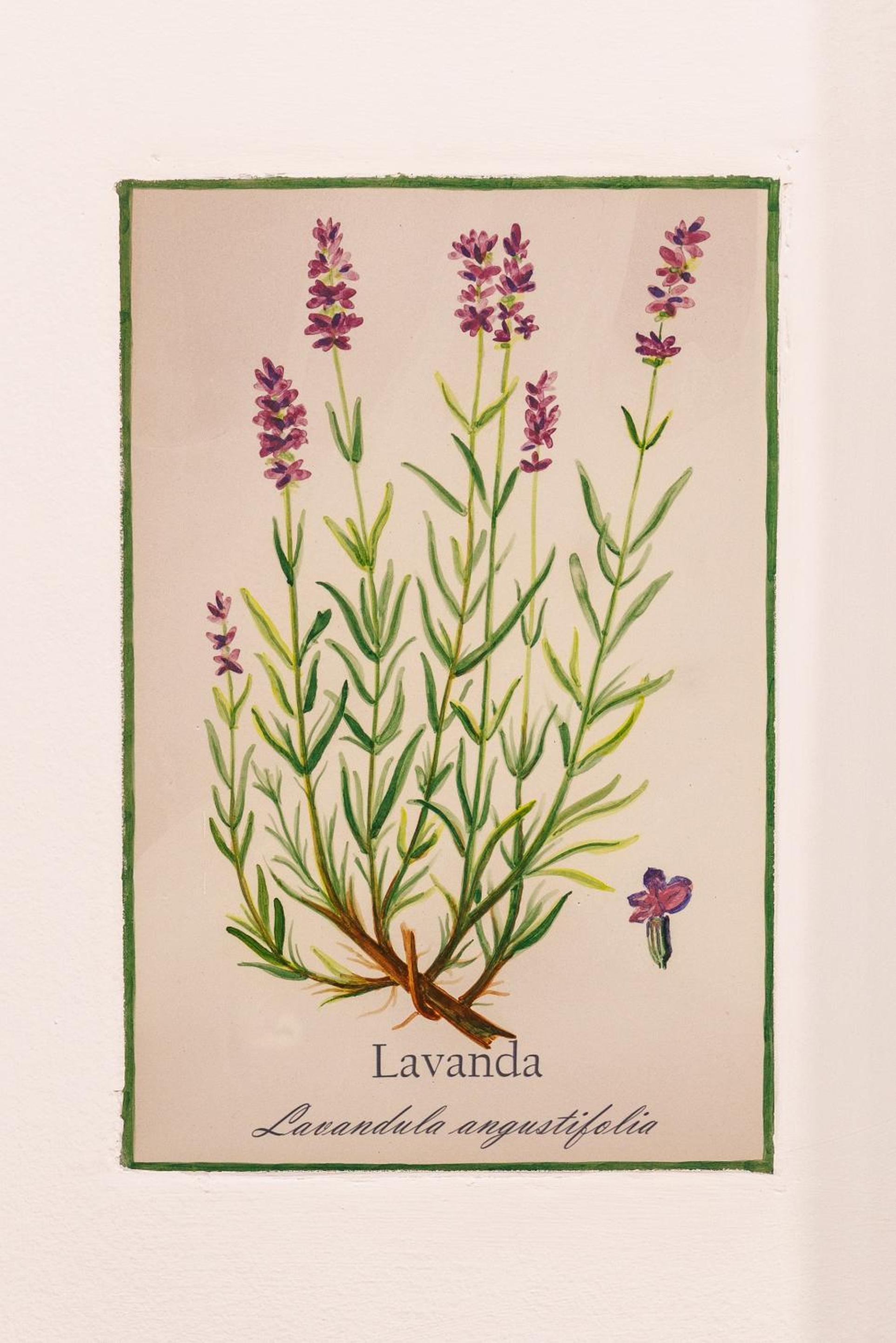 Фото Arte de Cozina