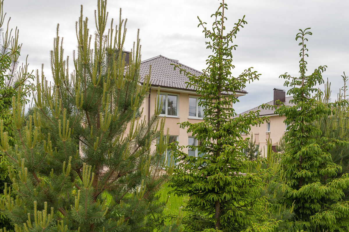 Фото Алирико